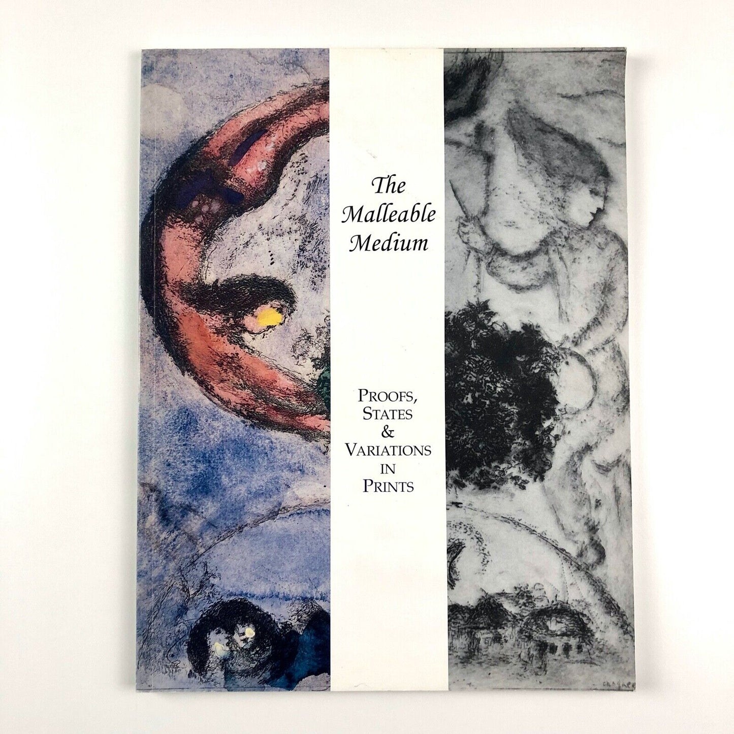 The Malleable Medium Proofs States & Variations in Prints | Theodore B. Donson, 1999