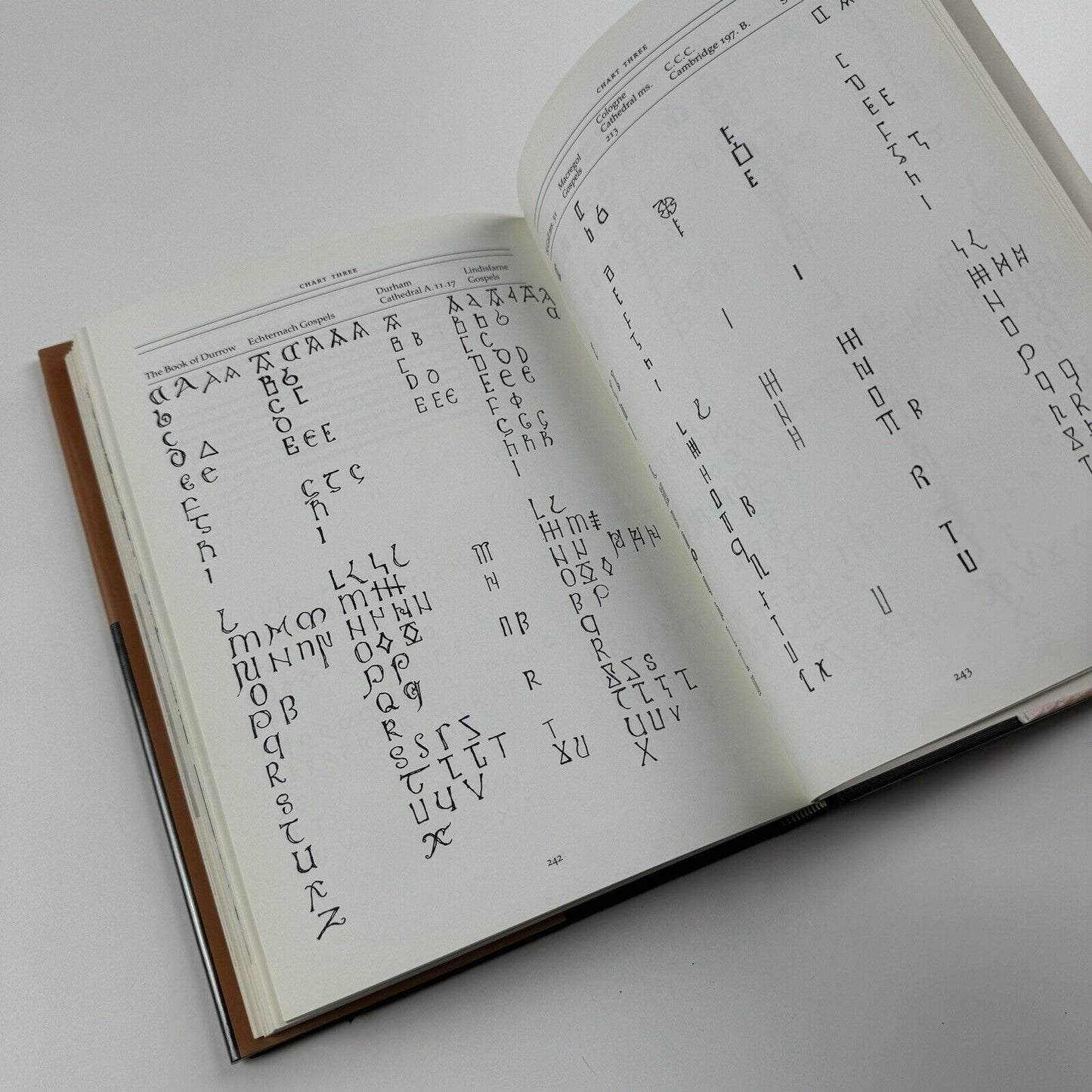 A History of Lettering by Nicolete Gray | Phaidon, 1986