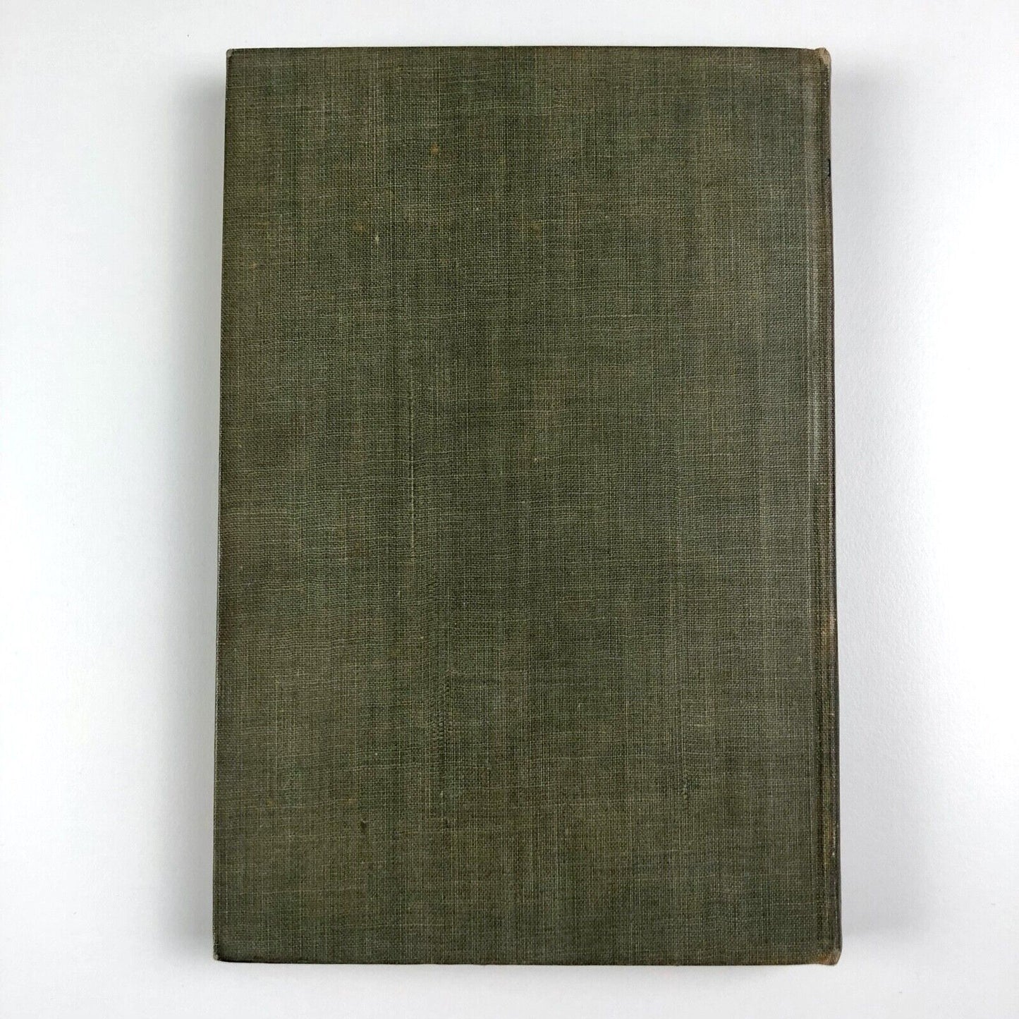 Pen Drawing: An Illustrated Treatise by Charles D. Maginnis | Third edition 1901
