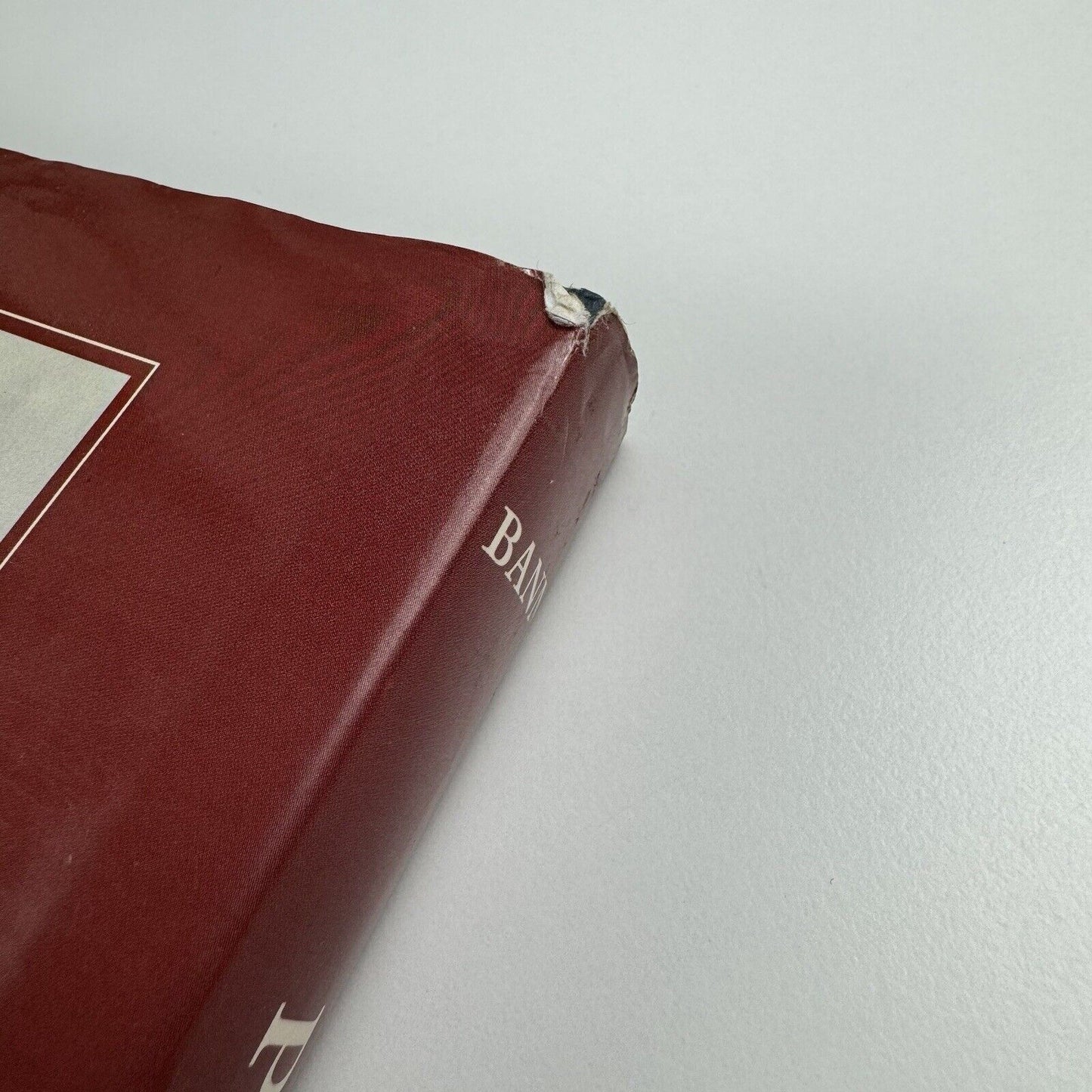 Parallel Lines. Printmakers, Painters and Photographers in Nineenth-Century France by Stephen Bann