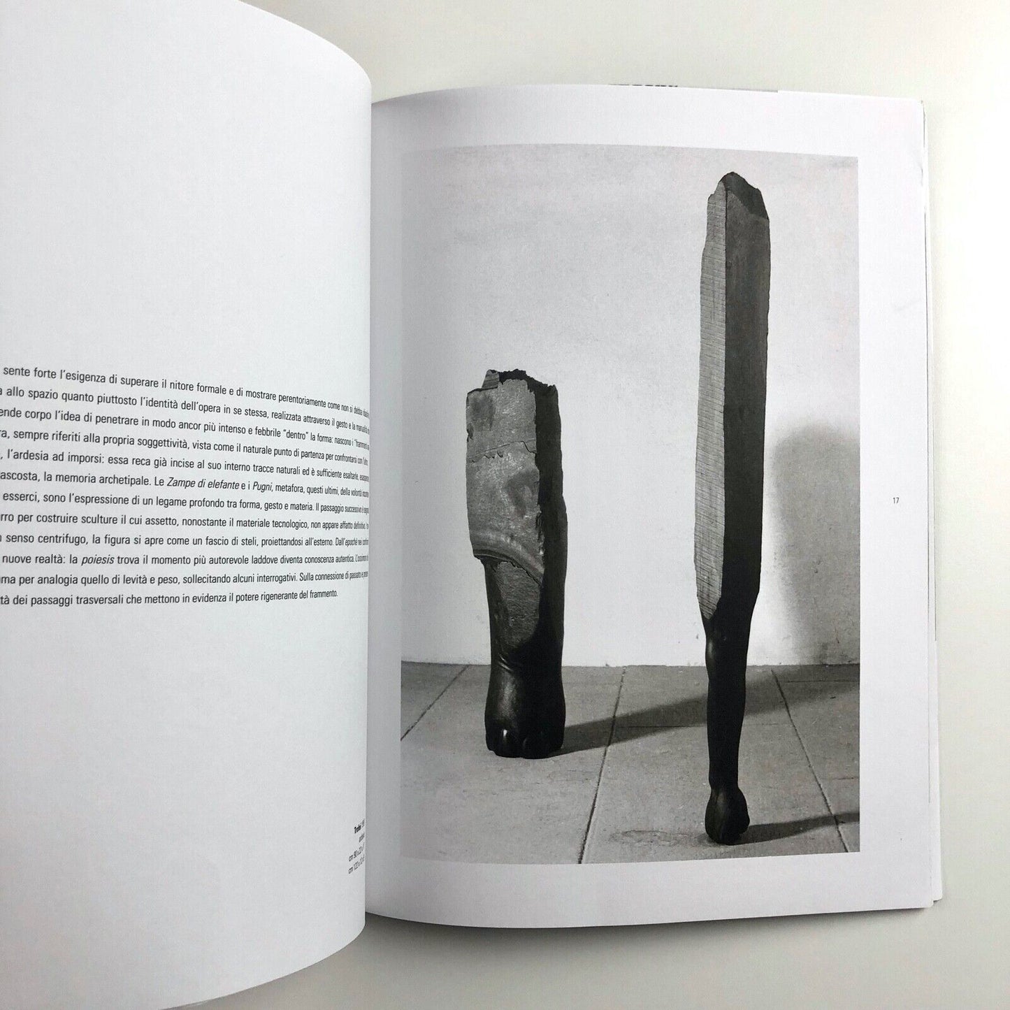 Domenico Borrelli exhibition catalogue | Studio Recalcati, Torino, 1998