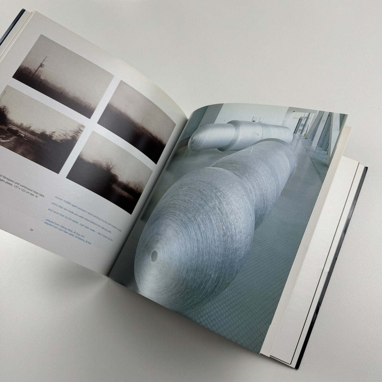 Profile 23. Daphne Wright | Limerick City Gallery of Art | Gandon Editions, 2006