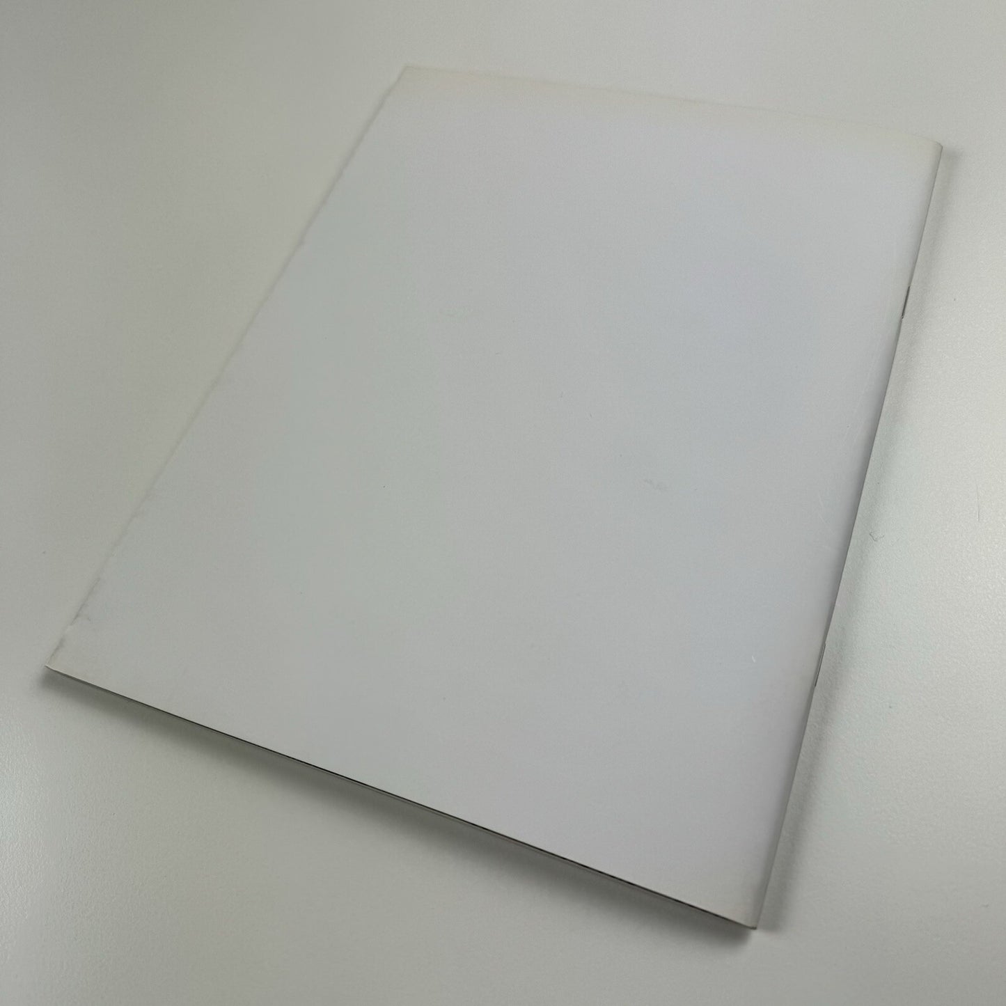 Steven Gregory. Down to the Bone | Opus Art/Trudie Stephenson exhibition catalogue, 2008
