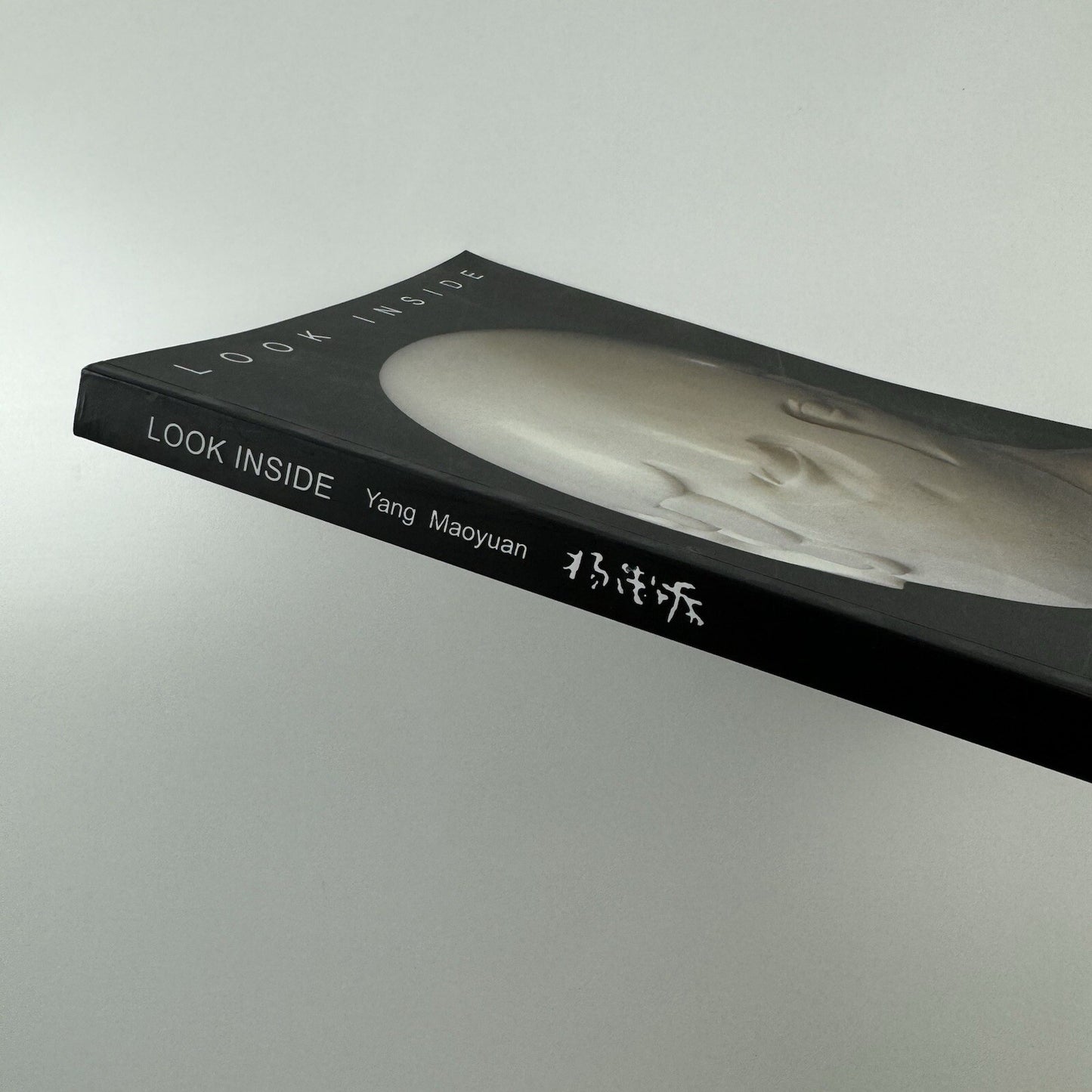 Look Inside – Yang Maoyuan | Timezone 8, 2006 ed. 1000