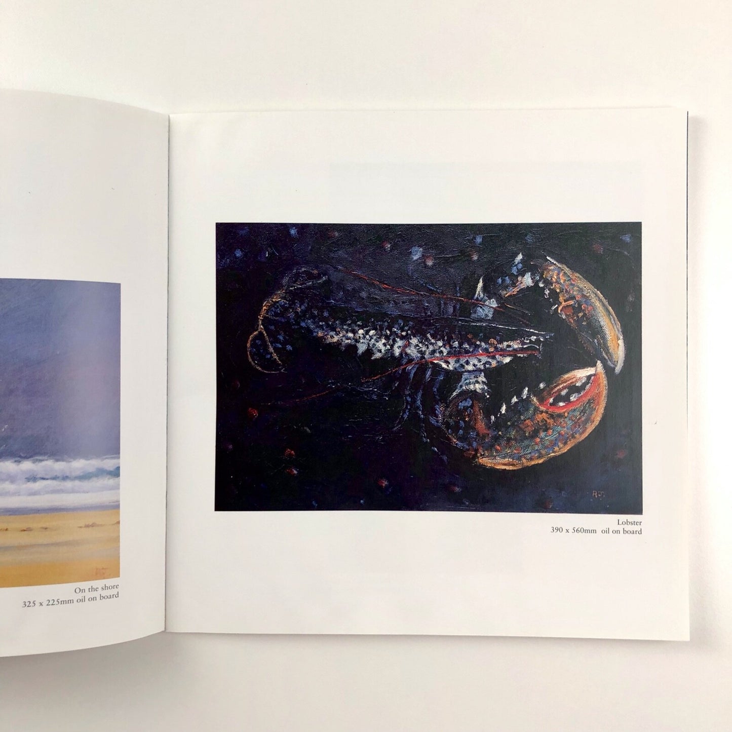 Robert Jones – Sun, Wind and Weather | Foreword by Frances Hewlett, 2002