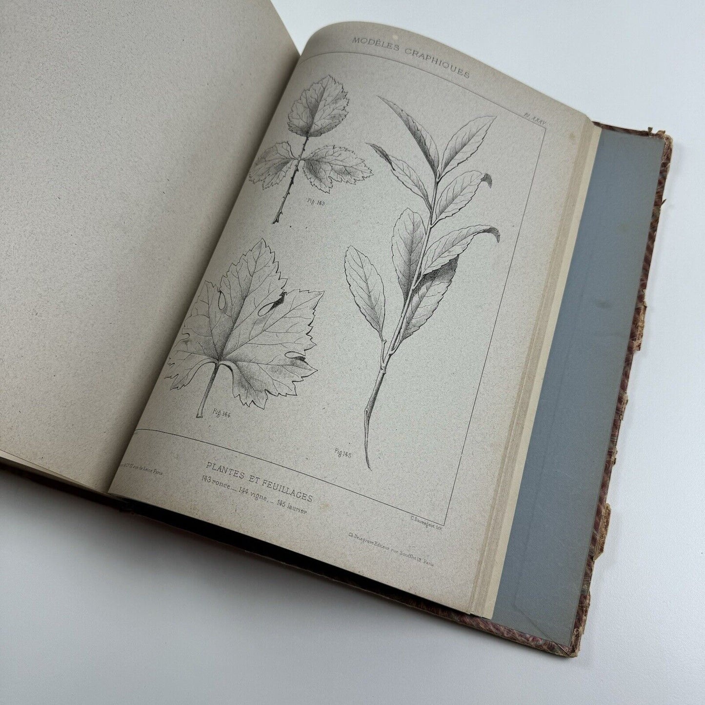 Enseignement du dessin par les solides applicable dans les écoles primaires, professionnelles & supérieures by Claude Sauvageot | Ch. Delagrave, Paris, 1882