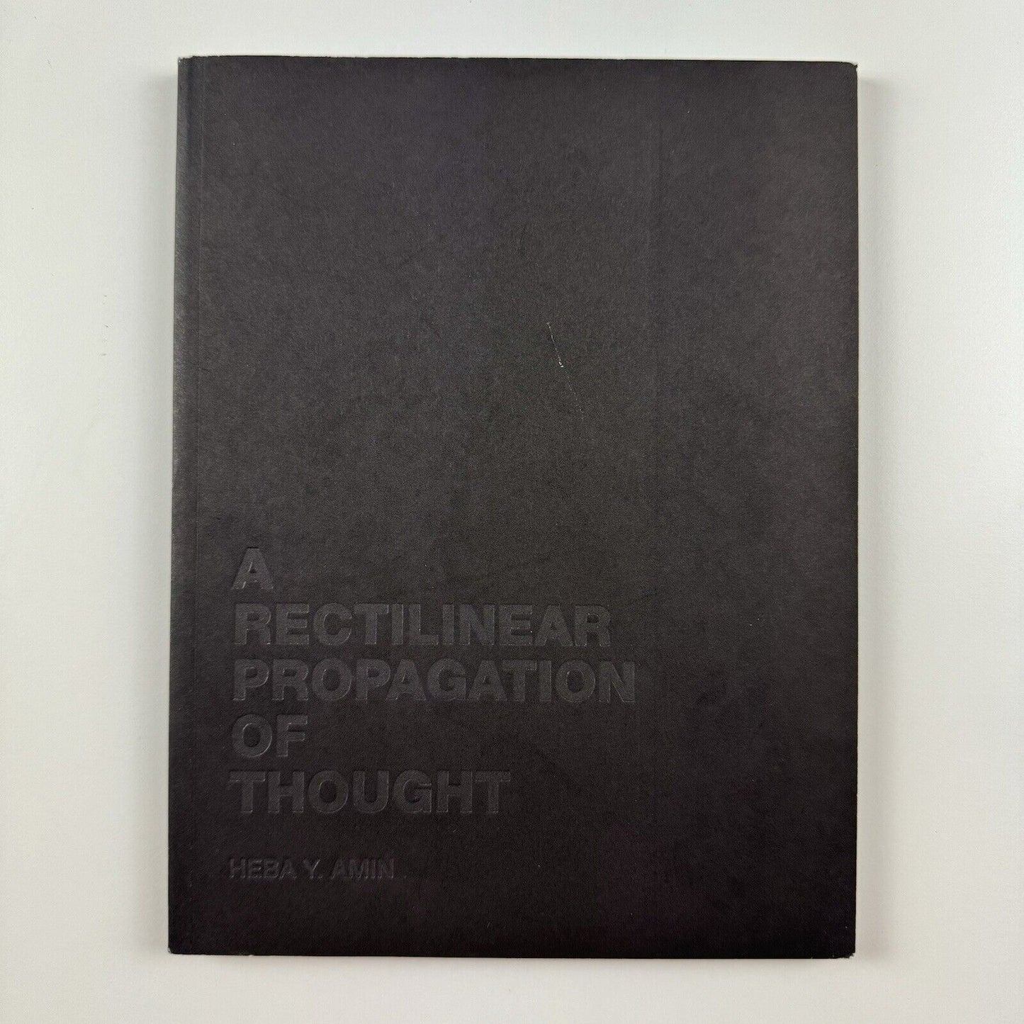 A Rectilinear Propagation of Thought: Heba Y. Amin | Zilberman Gallery catalogue, 2018