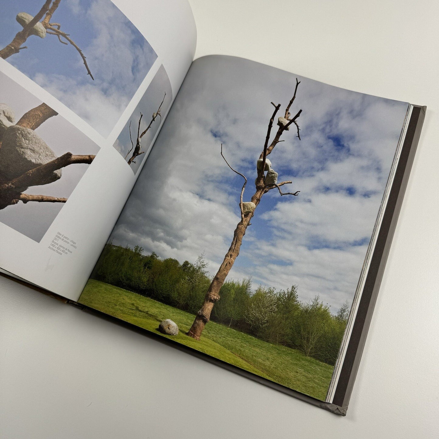 Penone – Versailles | Musée National du Château De Versailles, 2013