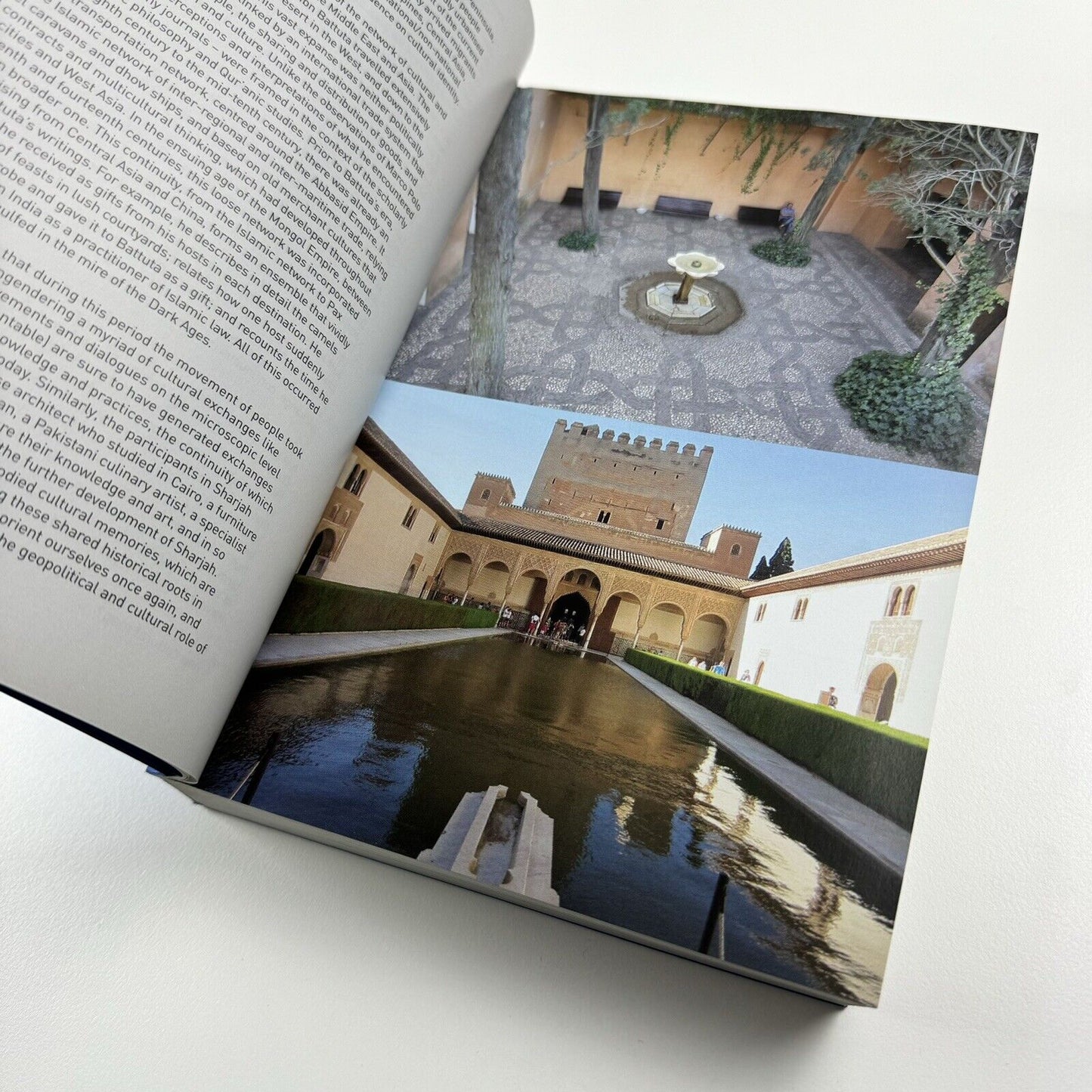 Re-emerge: Towards a New Cultural Cartography | Sharjah Art Foundation catalogue, 2013
