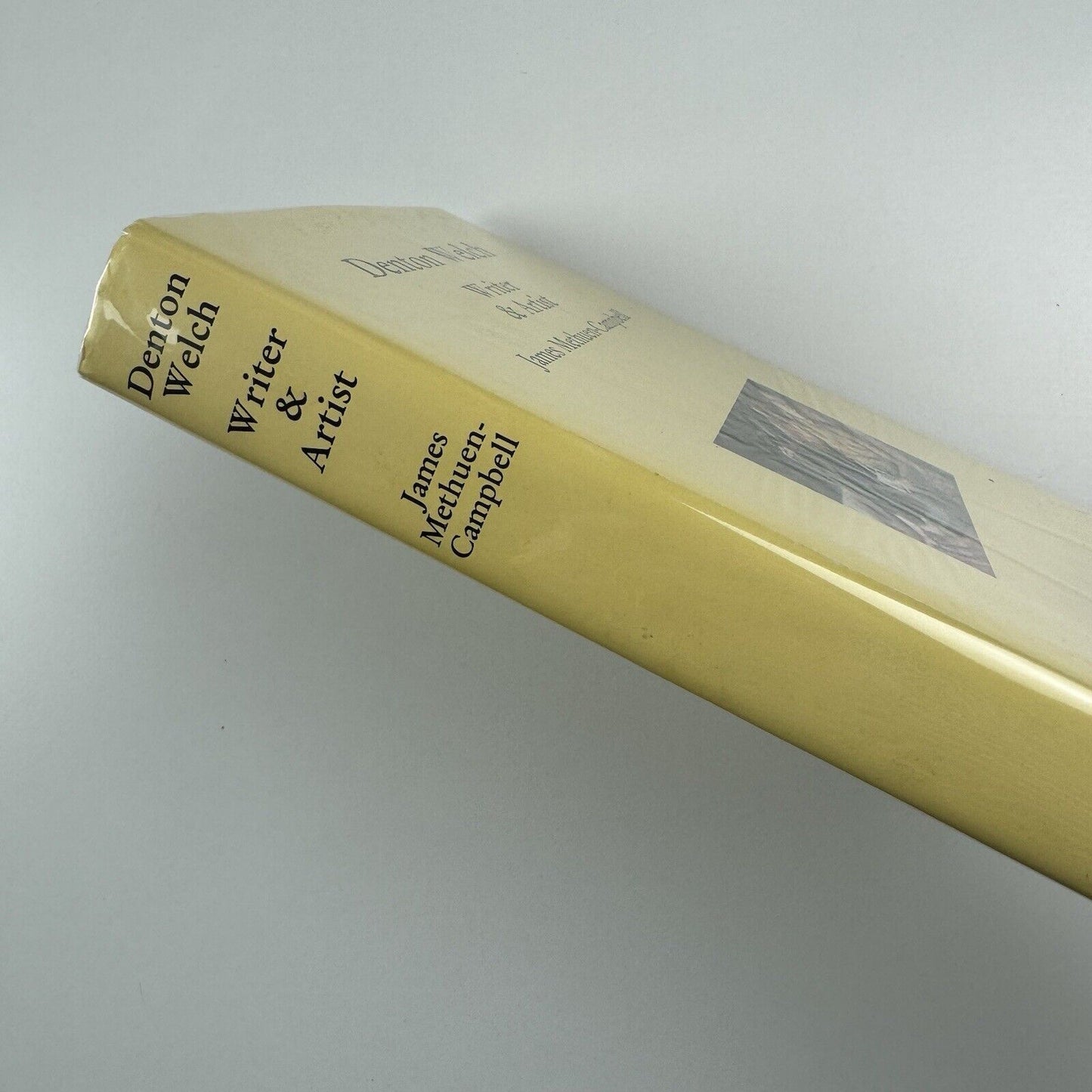Denton Welch. Writer & Artist by James Methuen-Campbell | Tartarus Press, 2002