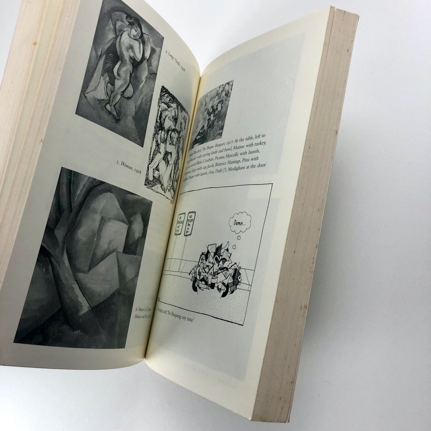 Georges Braque: A Life | Alex Danchev Penguin 2007