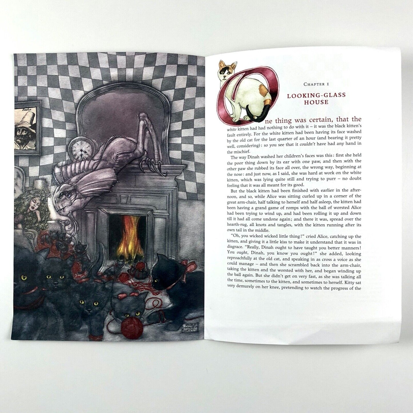 Prospectus for Through The Looking Glass Lewis Carroll | The Inky Parrot Press | Illustrations by Angel Domínguez