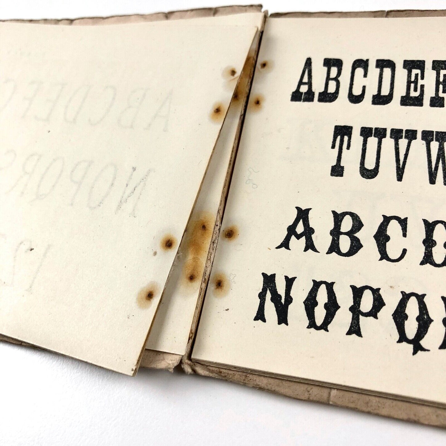 The Ornamental Penman's Pocket Book of Alphabets: Engravers, Sign Writers and Draughtsmen | Benjamin Alexander