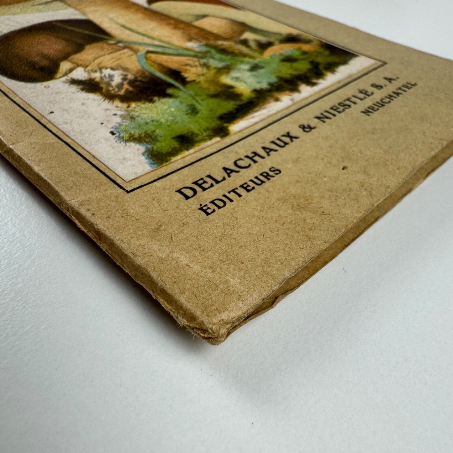 Petit Atlas Des Champignons. Delachaux & Niestlé. Neuchâtel. Undated believed to date from 1900. Text in French. Small pocket sized book with fold out pages