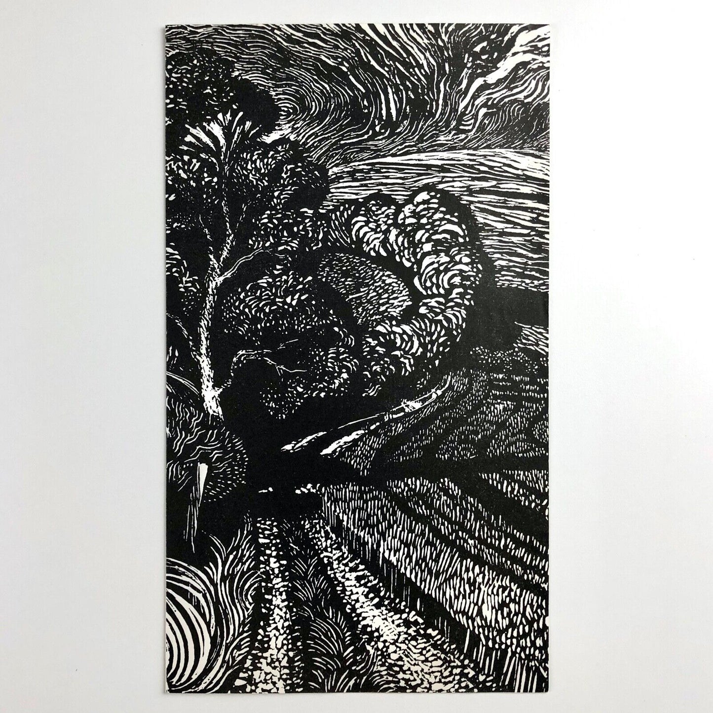 Leaflet to promote A Handful of Hares | Anne Cathcart | Inky Parrot Press, 2009