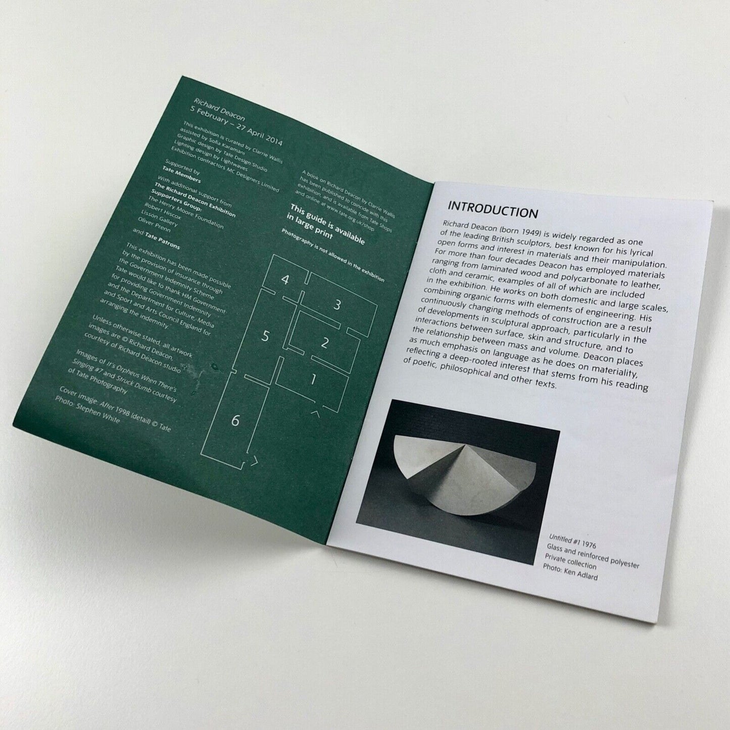 Richard Deacon | Pocket gallery guide – Tate Britain, 2014