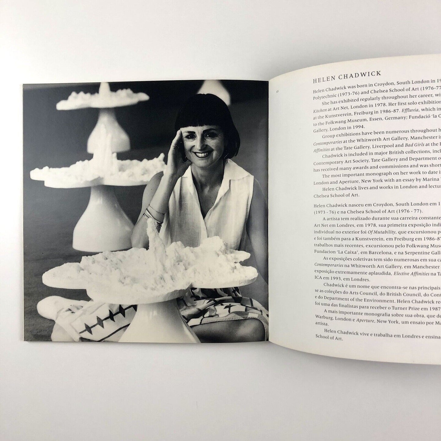 Something the Matter: Helen Chadwick, Cathy De Monchaux, Cornelia Parker | British Council 22nd International Biennal of São Paulo, 1994