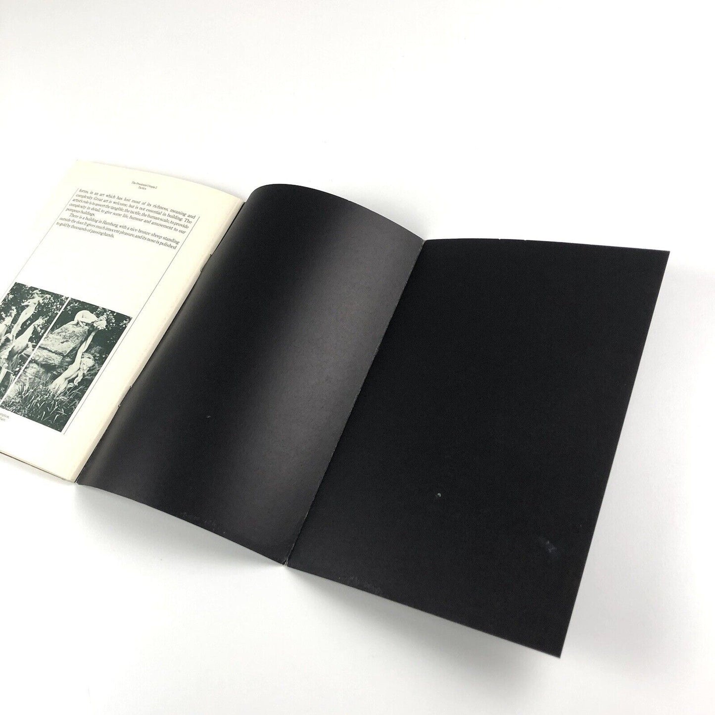 The Pessimist Utopia by Theo Crosby | Pentagram Papers 2