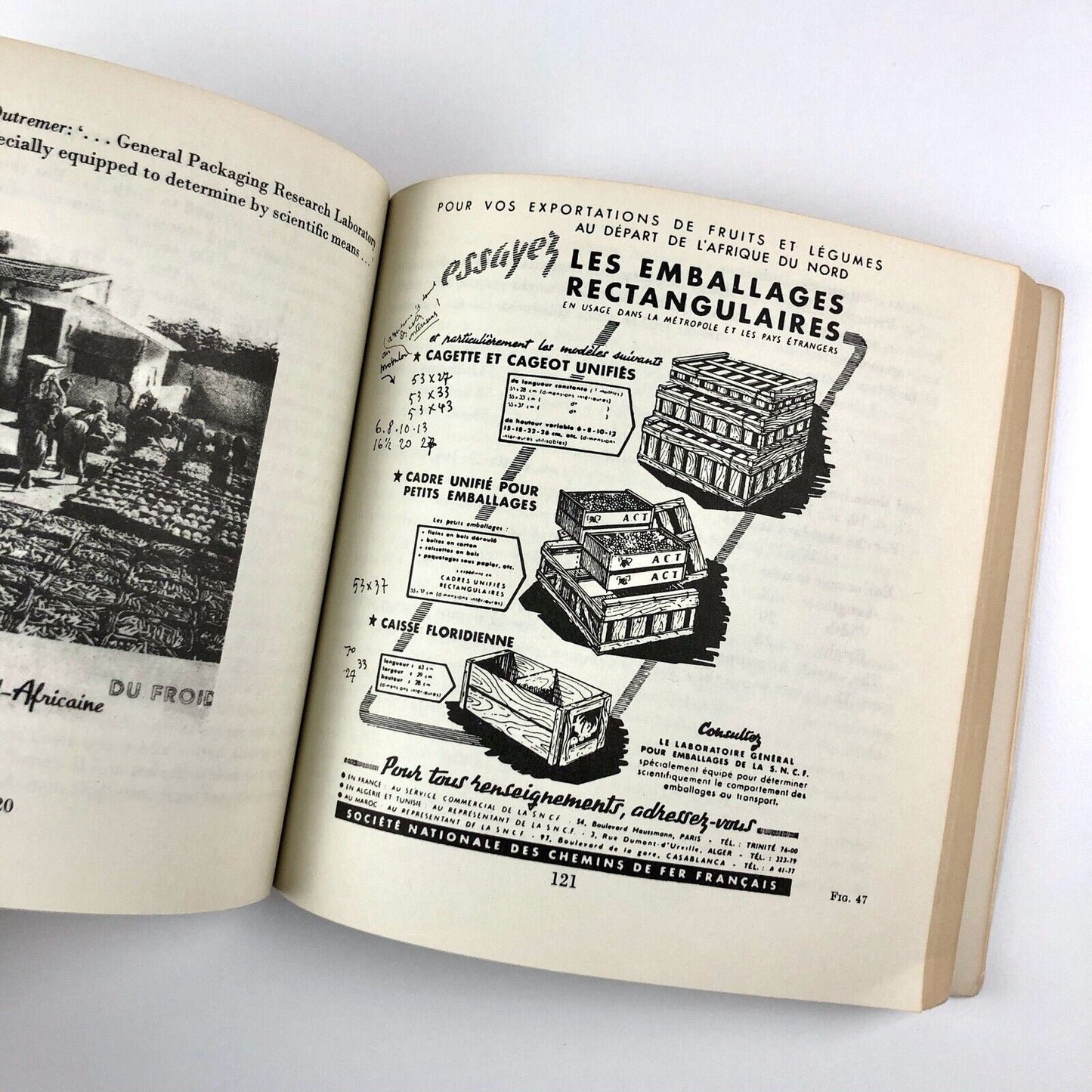 Le Corbusier | The Modulor | Faber Paperbacks, 1977 edition