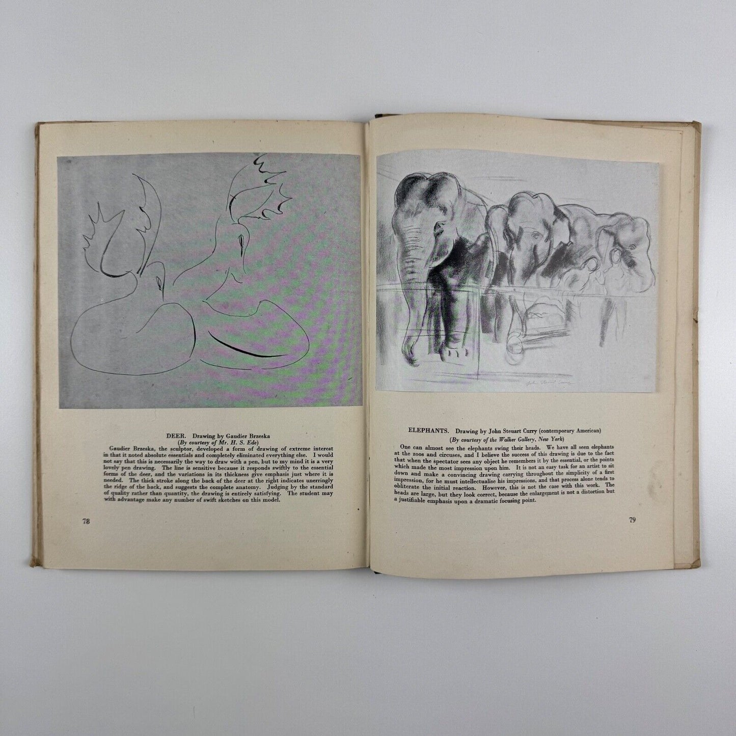 Animal Drawing by John Skeaping. No. 10 The Studio How to do it series 1944 reprinted edition