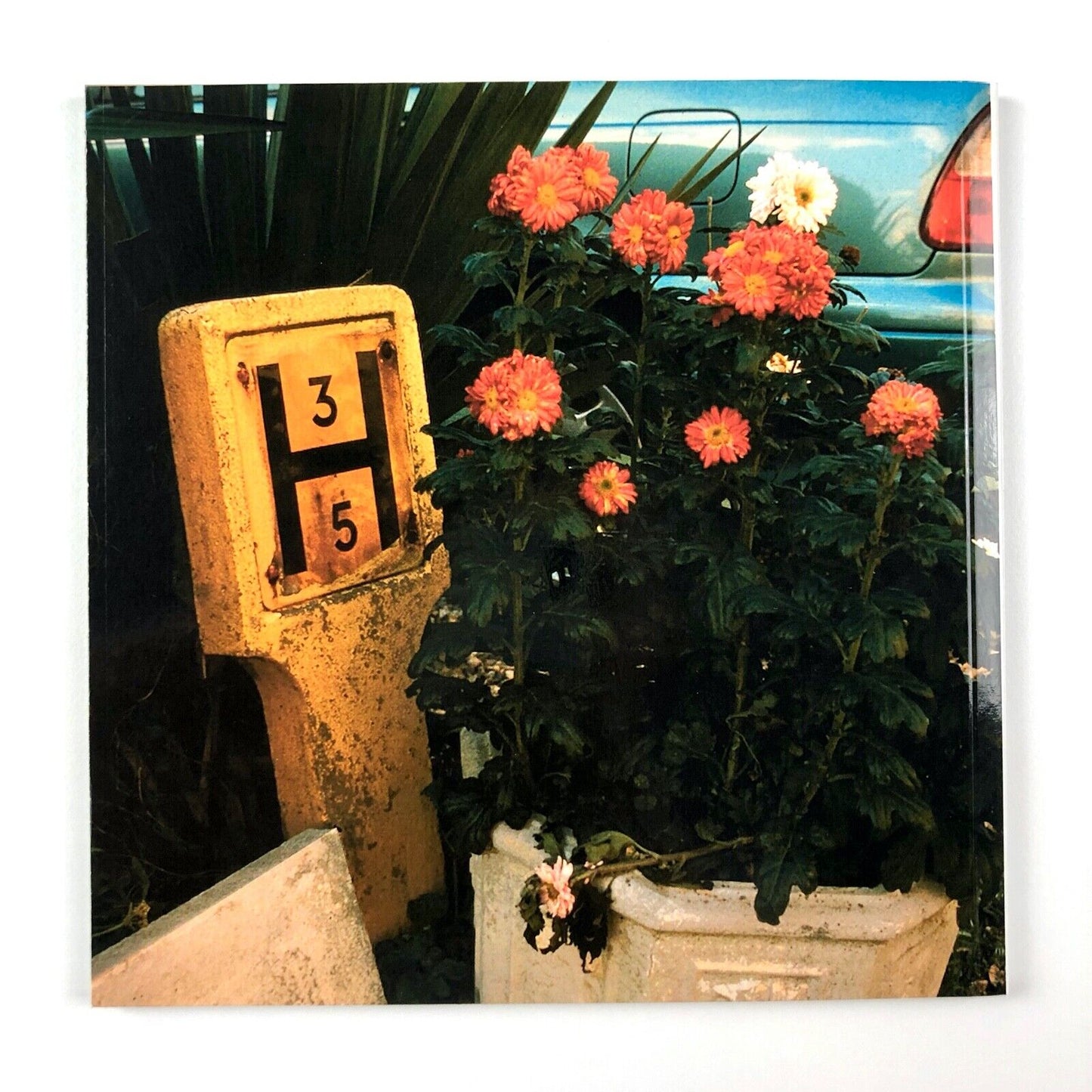 Hydrants: Signs Seen & Unseen | Michael Harvey | 47 Editions 2008