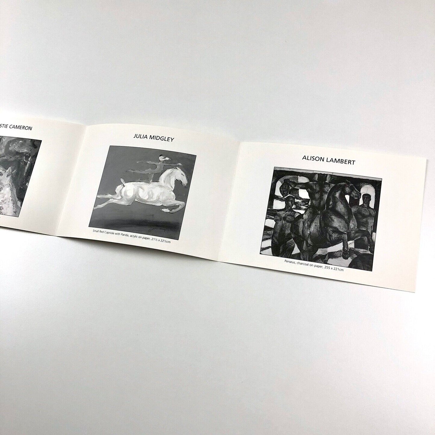 Equine. Ewen Henderson, Rosa Nguyen, Alison Lambert et al | The New Academy, 1991