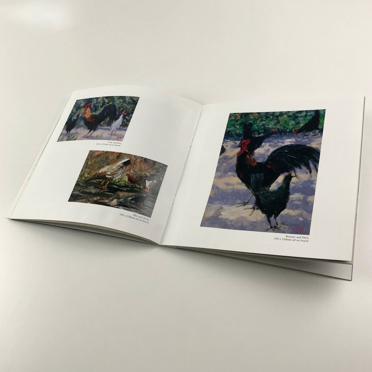 Robert Jones – Sun, Wind and Weather | Foreword by Frances Hewlett, 2002