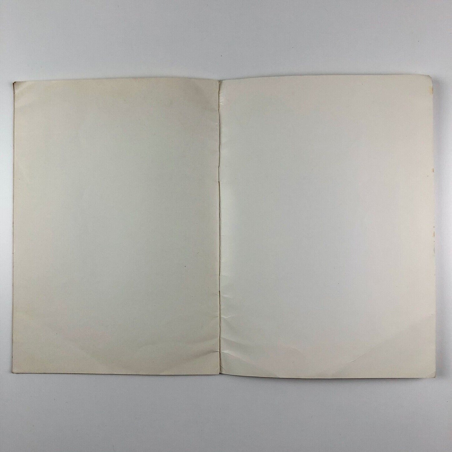 The Inner Image Paintings by the Leicester Group Grabowski Gallery 1964 | Cristina Bertoni, Laurence Burt, Michael Chilton, Tom Hudson, Victor Newsome, Michael Sandle, and Terry Setch