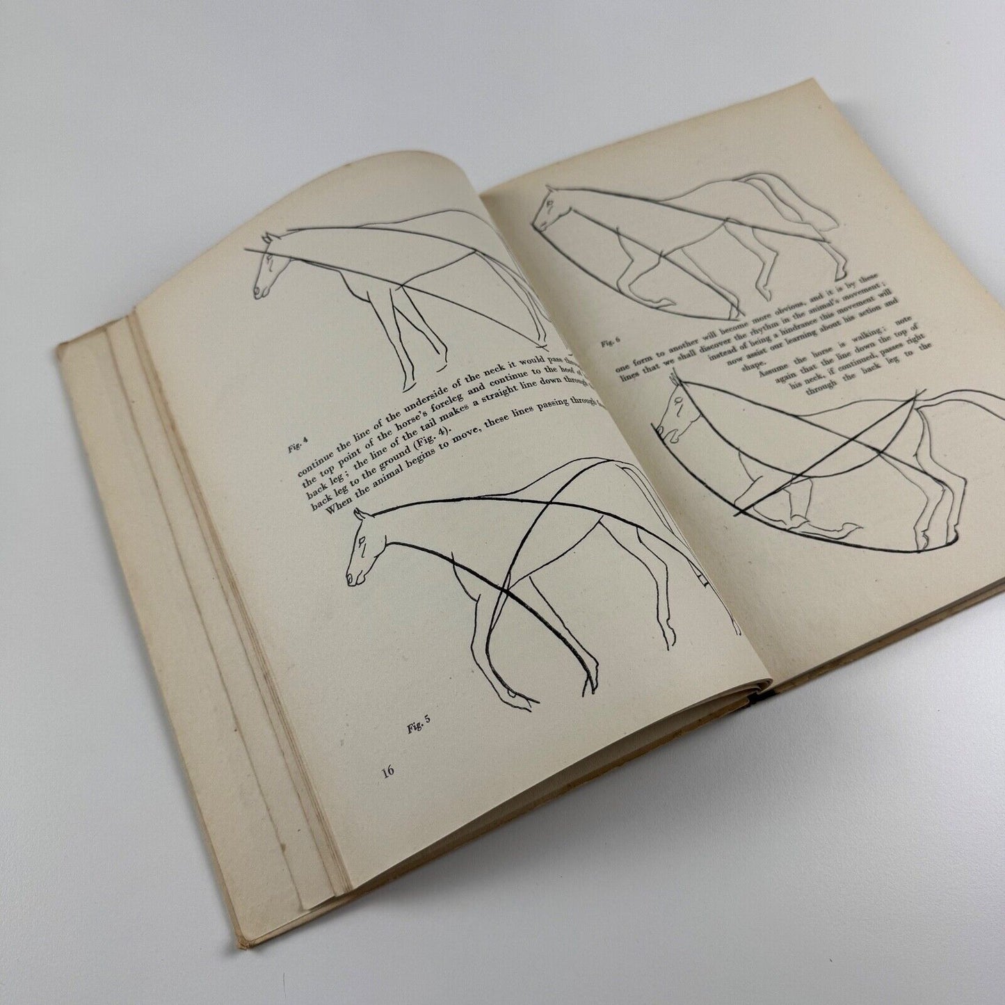 Animal Drawing by John Skeaping. No. 10 The Studio How to do it series 1944 reprinted edition
