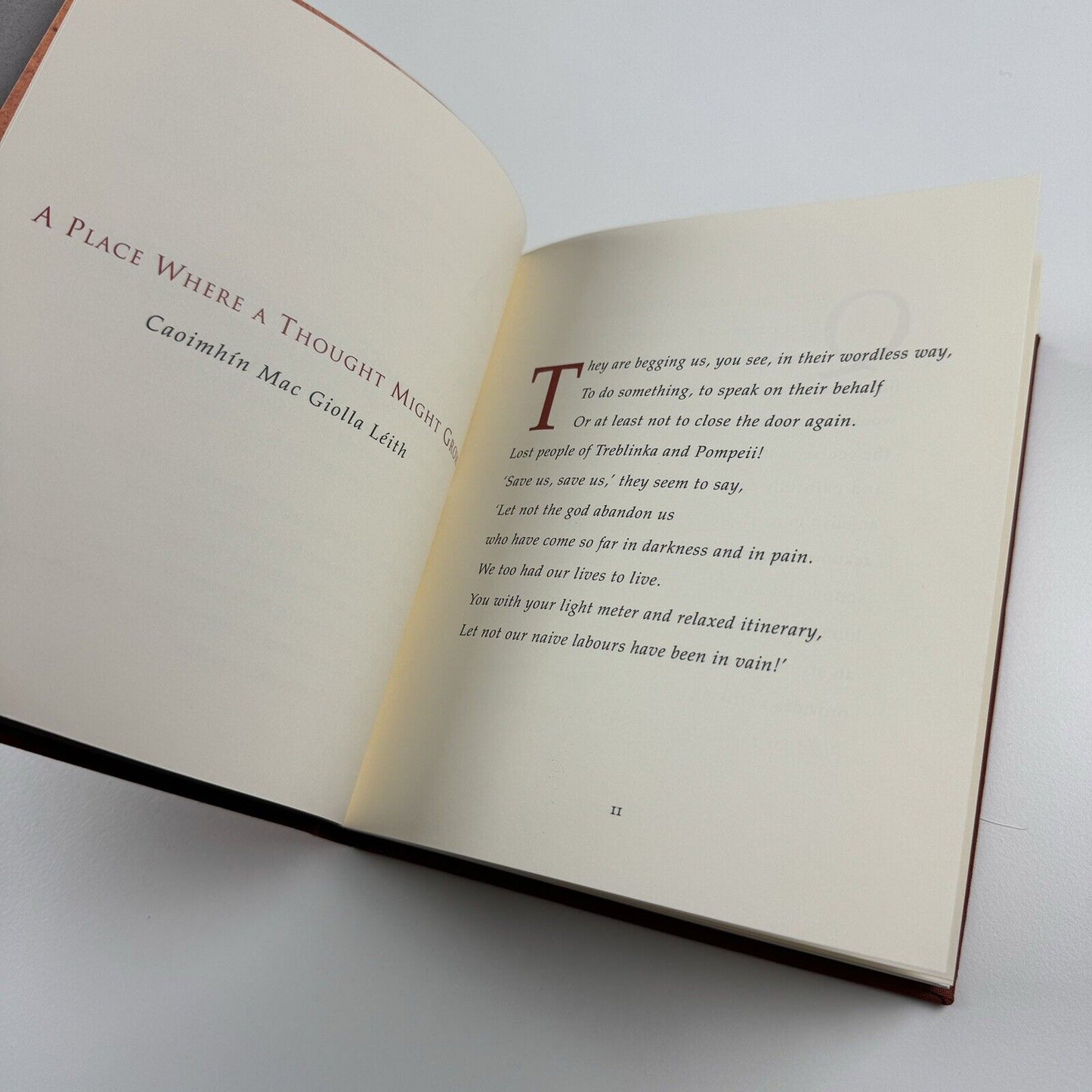 Antony Gormley Field for the British Isles 1996 |Edited by Oriel Mostyn | Signed by the artist