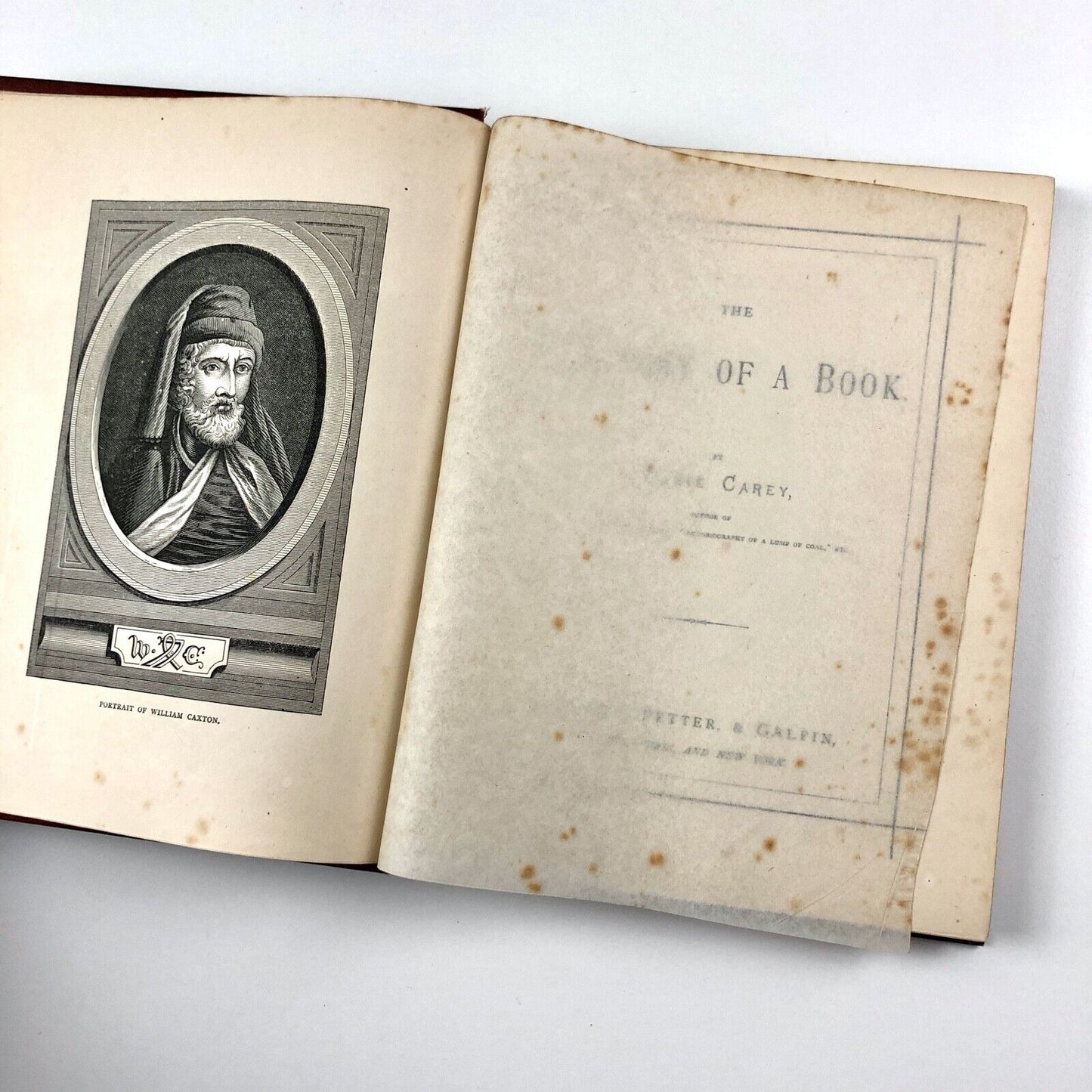 The History of a Book by Annie Carey | Cassell Petter & Galpin, 1873