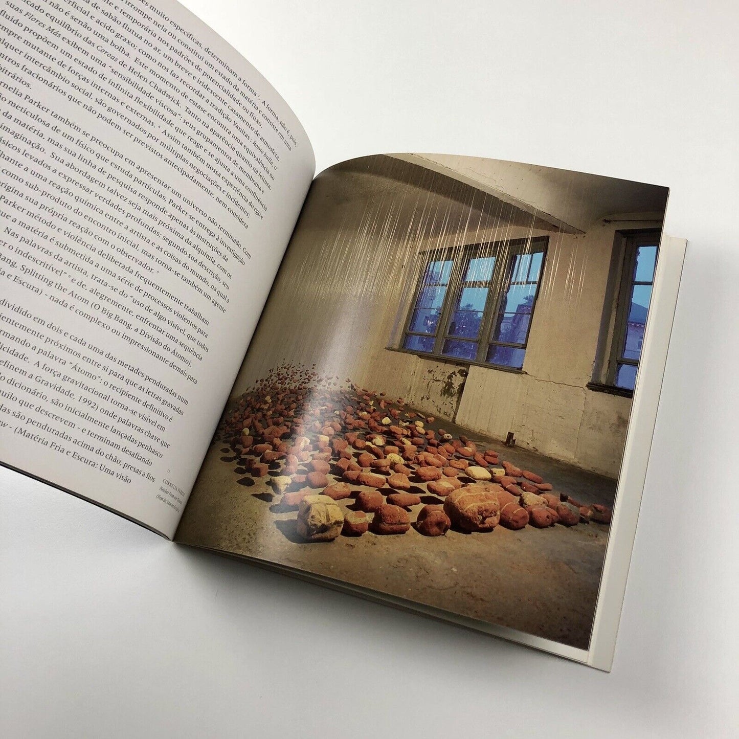 Something the Matter: Helen Chadwick, Cathy De Monchaux, Cornelia Parker | British Council 22nd International Biennal of São Paulo, 1994