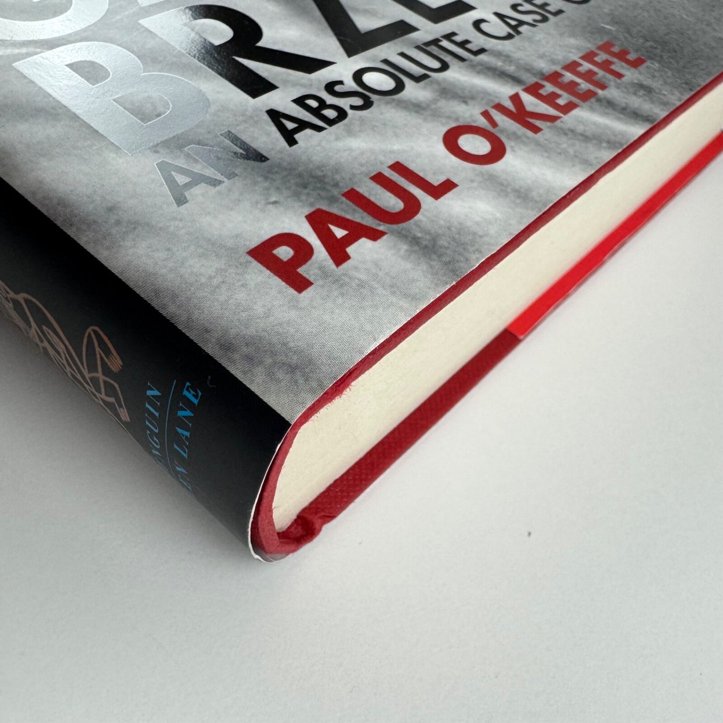 Gaudier-Brzeska. An absolute case of genius by Paul O’Keeffe | Allen Lane, Penguin, 2004