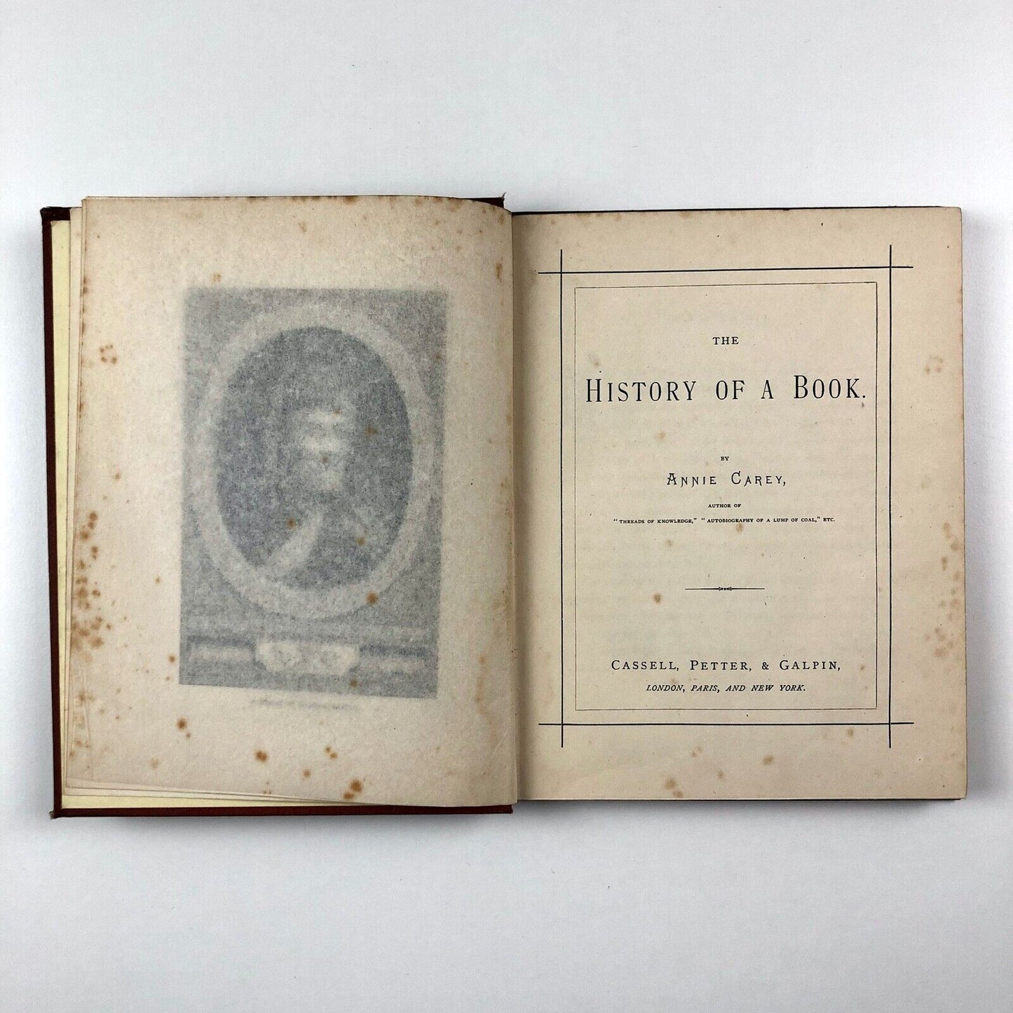 The History of a Book by Annie Carey | Cassell Petter & Galpin, 1873