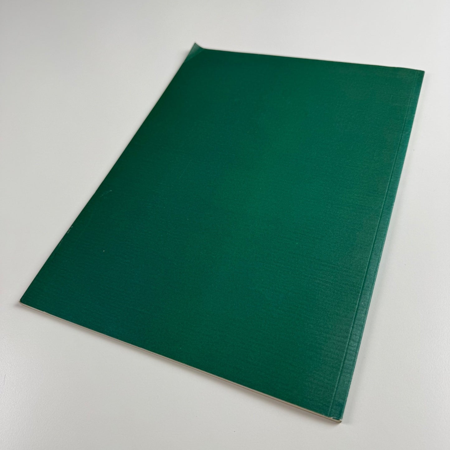 Sarah Raphael. Paintings & Drawings 1989-1991 | Agnew's 1992