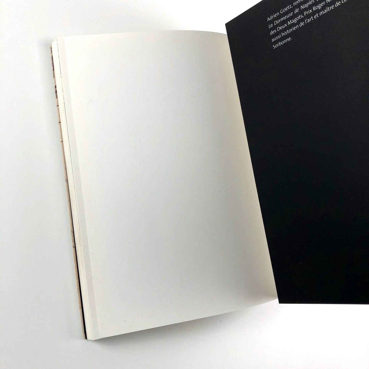 Ingres Collages. Dessins d’Inges de Musée de Montauban | Adrien Goetz, 2006