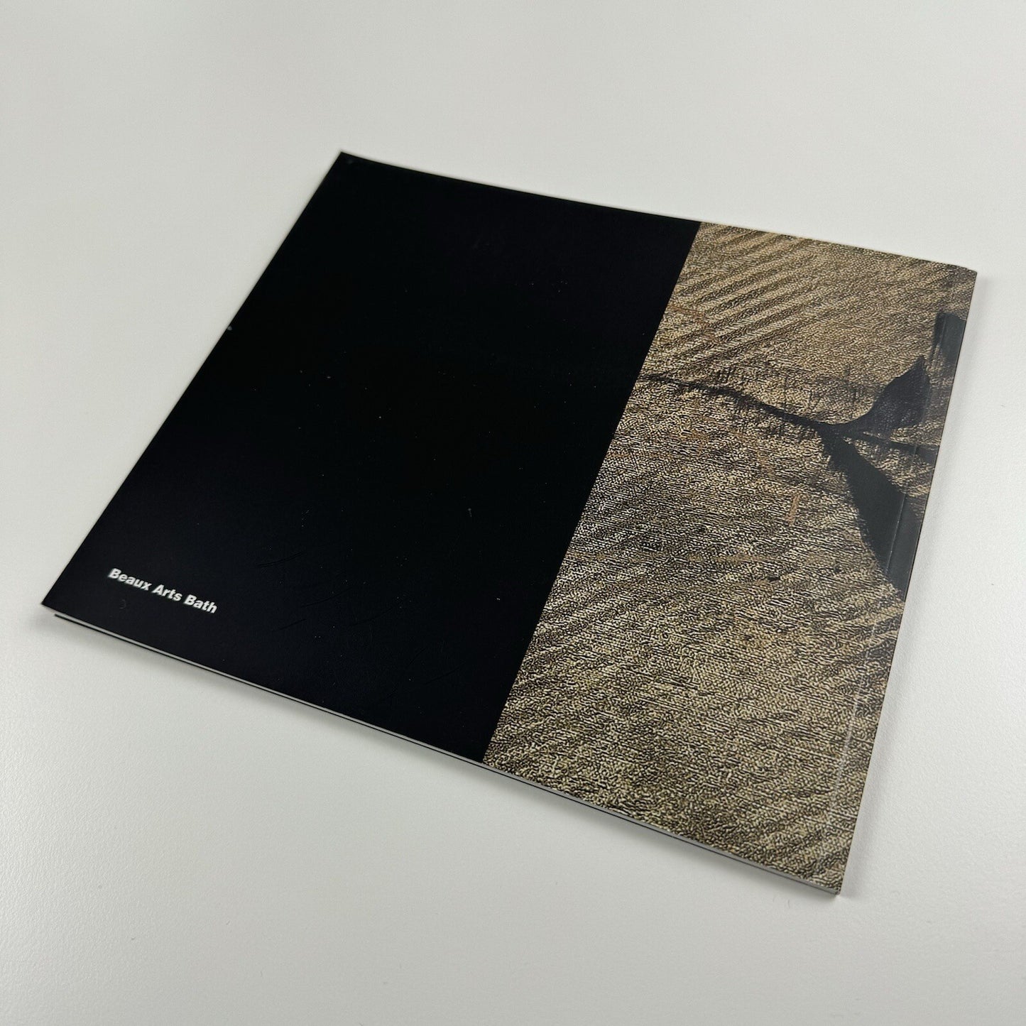 Naomi Frears | Beaux Arts Bath exhibition catalogue, 2011