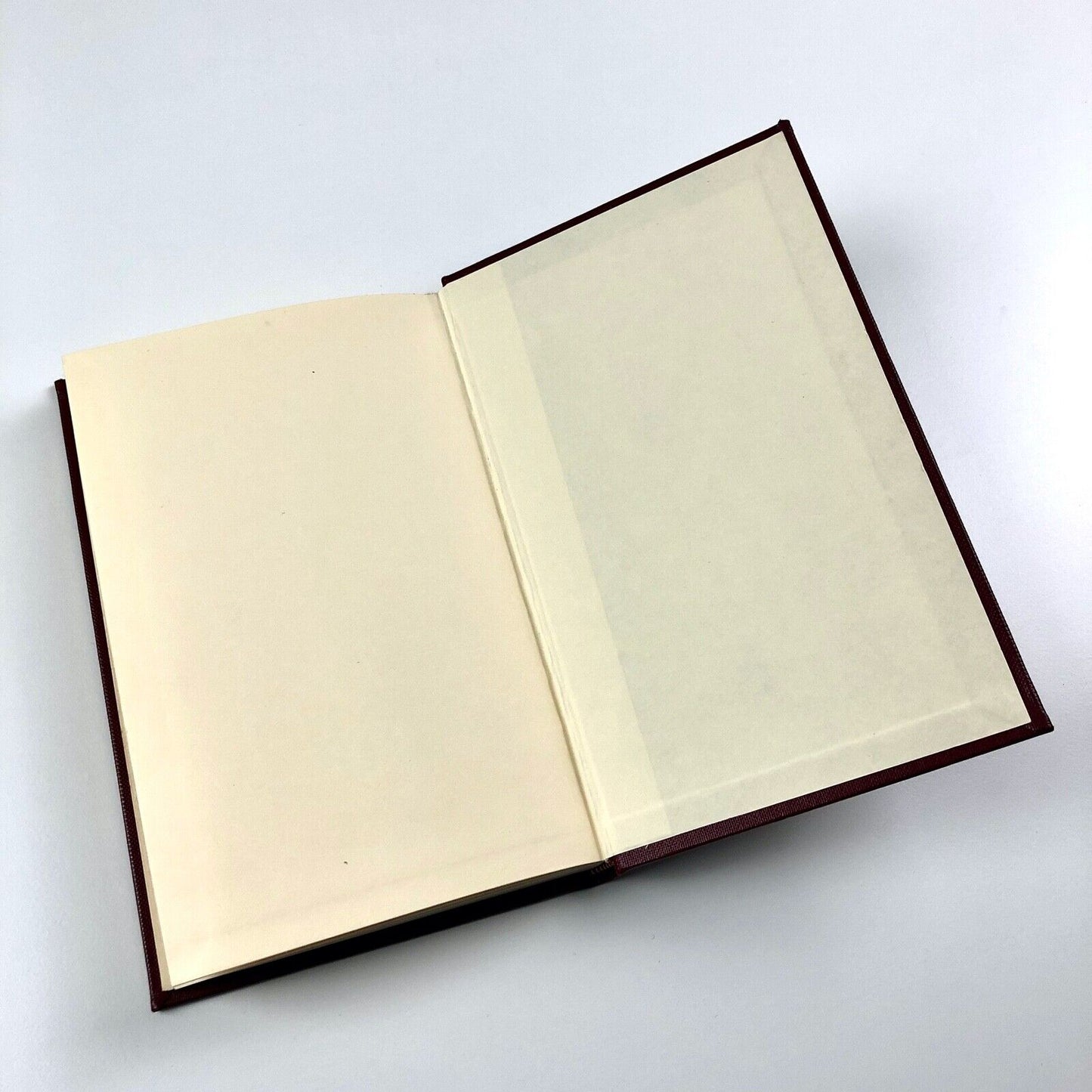 Electronic Typesetting: a quarter century of technological upheaval by L.W. Wallis | Foreword by A.H. Phillips | The Paradigm Press, 1984