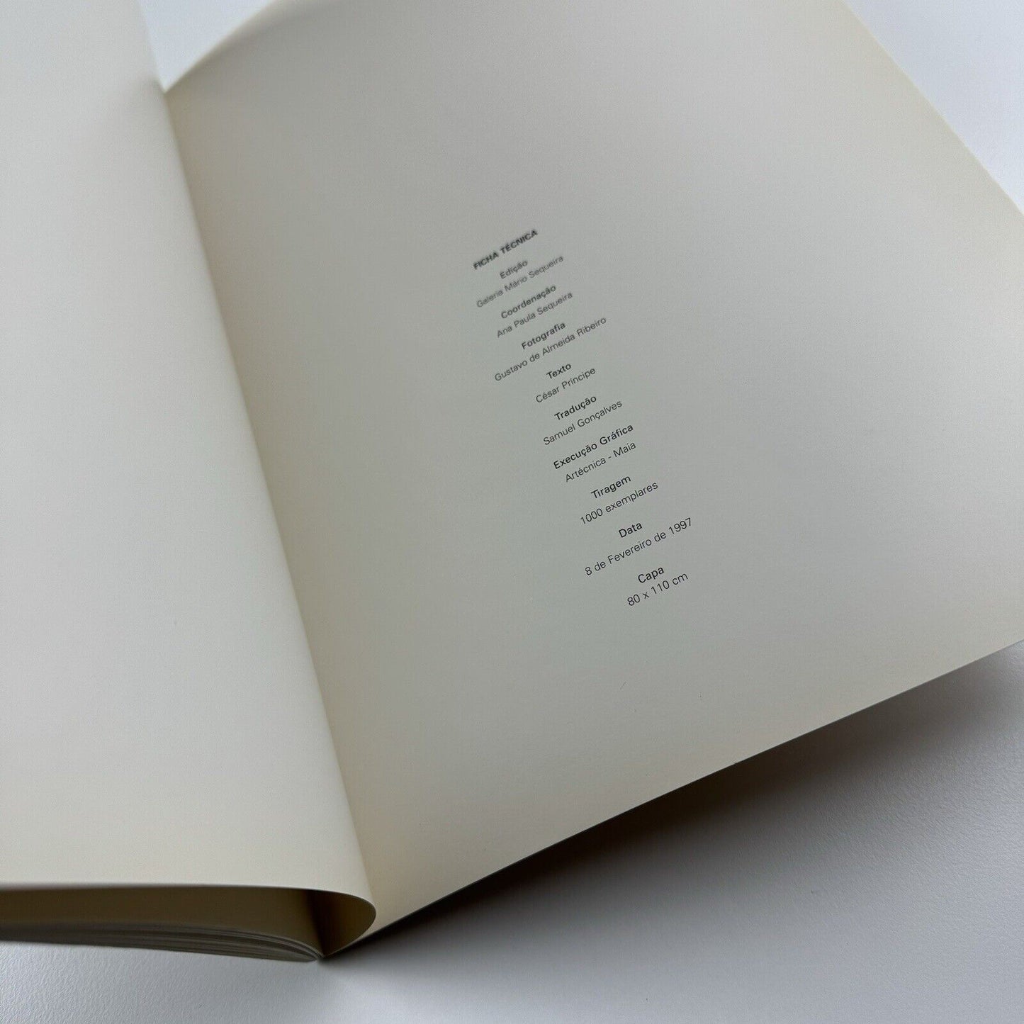 Luís Coquenão. Pintura | Galeria Mário Sequira, Portugal | Exhibition catalogue, 1997