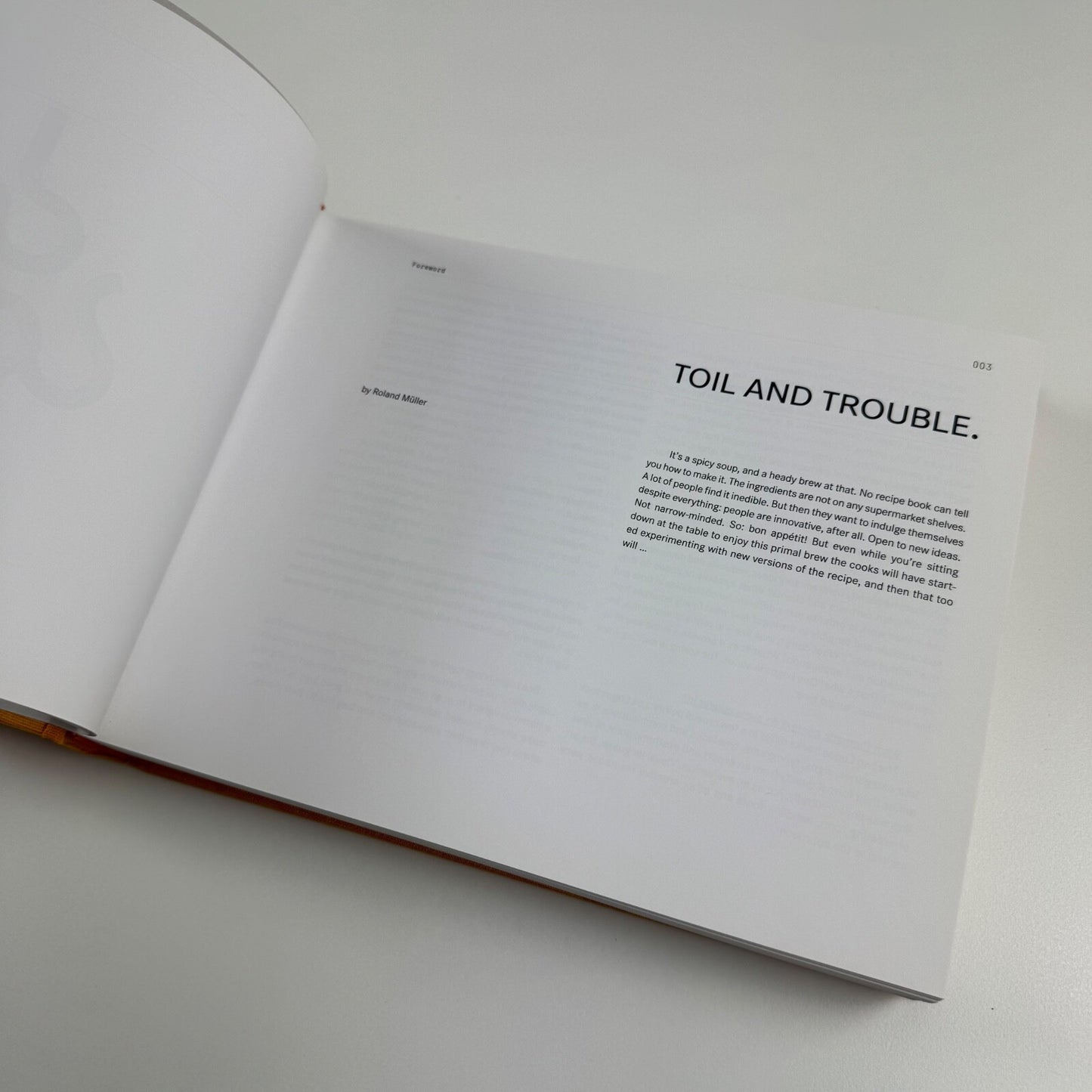 Dos logos. A Selected Logo Collection | Die Gestülten Verlag, Berlin, 2004. 3rd edition
