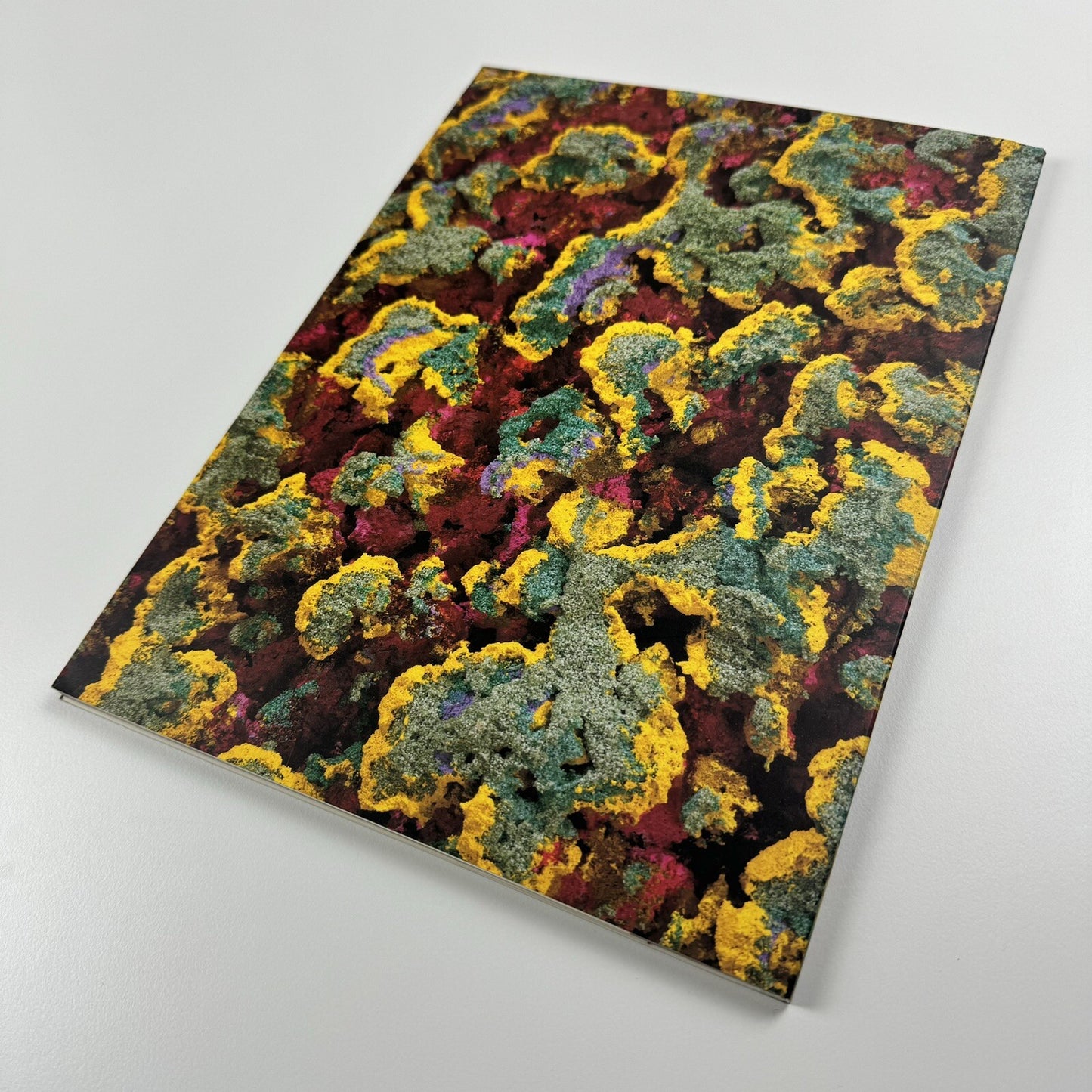 Nabil Nahas | Sperone Westwater Gallery, New York exhibition catalogue, 1996