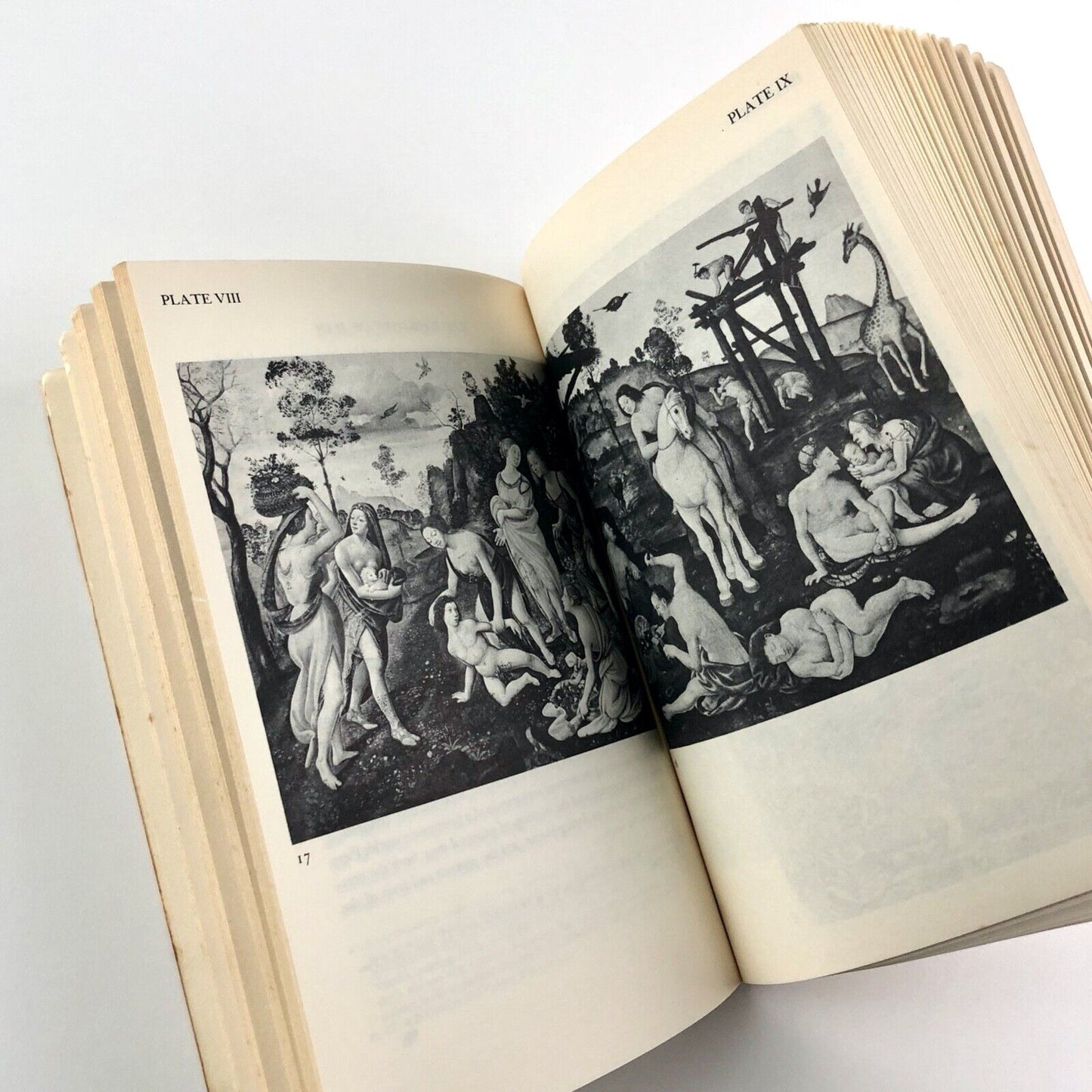 Studies in Iconology. Humanistic Themes in the Art of the Renaissance by Erwin Panofsky | Harper & Row, New York, 1967