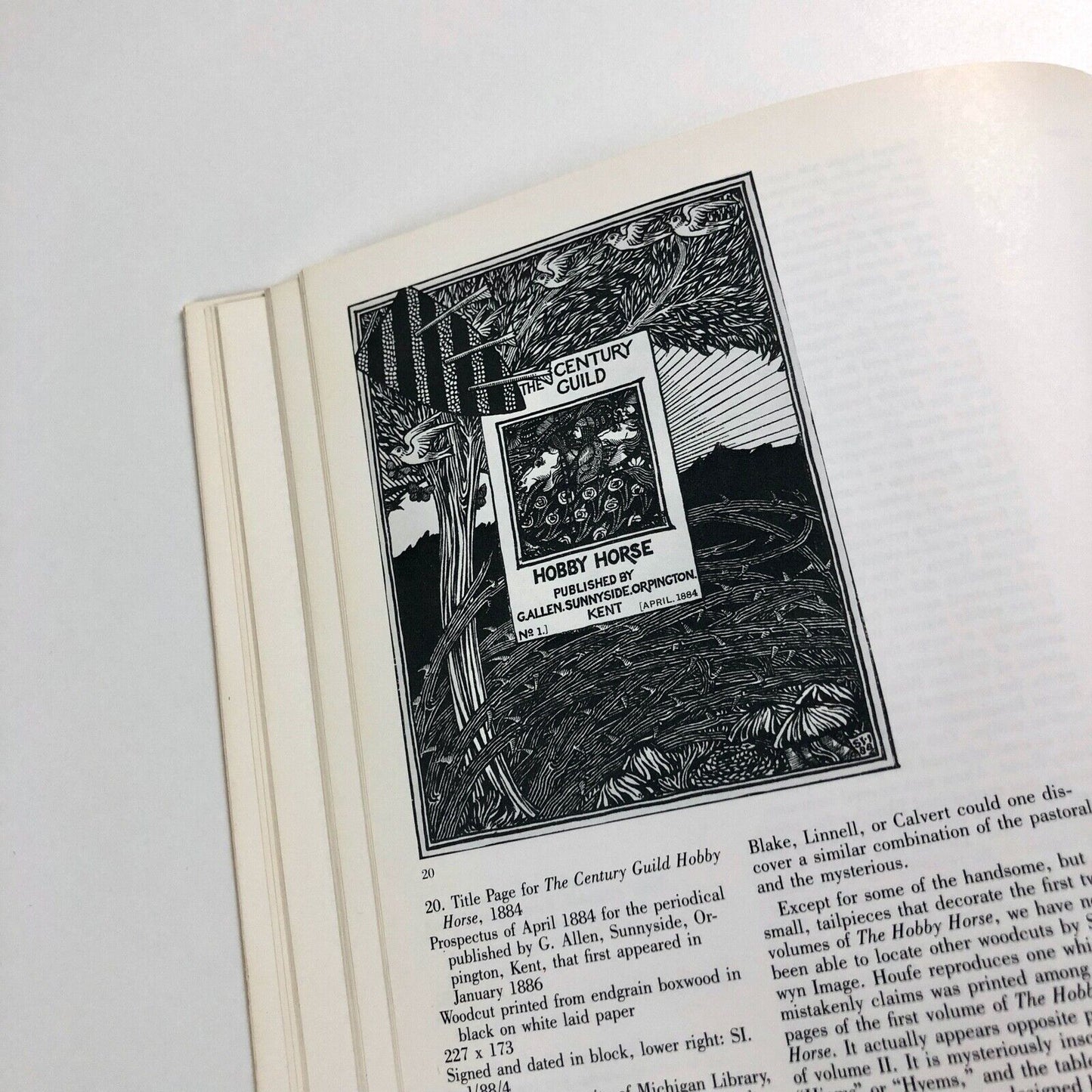 The Artistic Revival of the Woodcut in France, 1850-1900 | Michigan, 1984