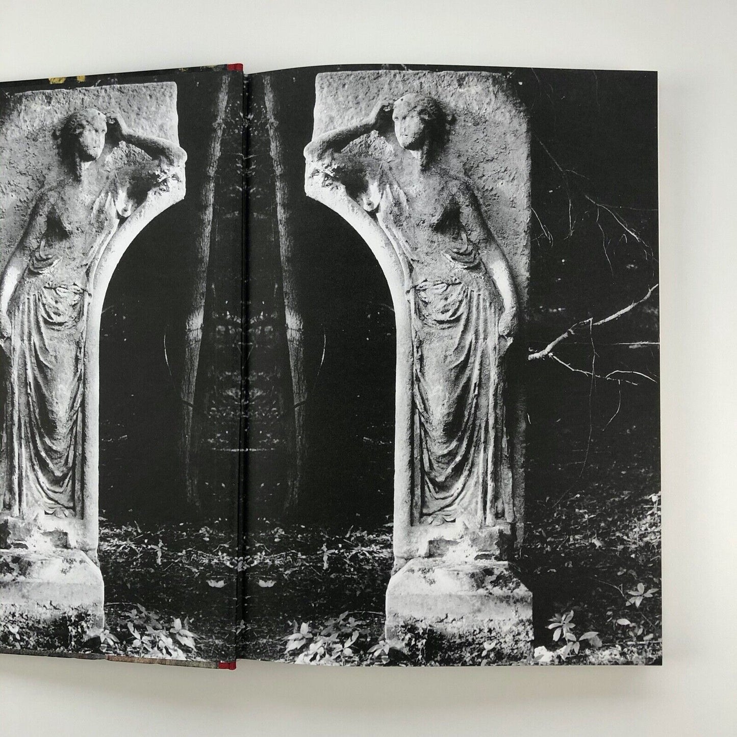 Piper in Print | Books, Periodicals & Ephemera | Artists' Choice Editions, 2010