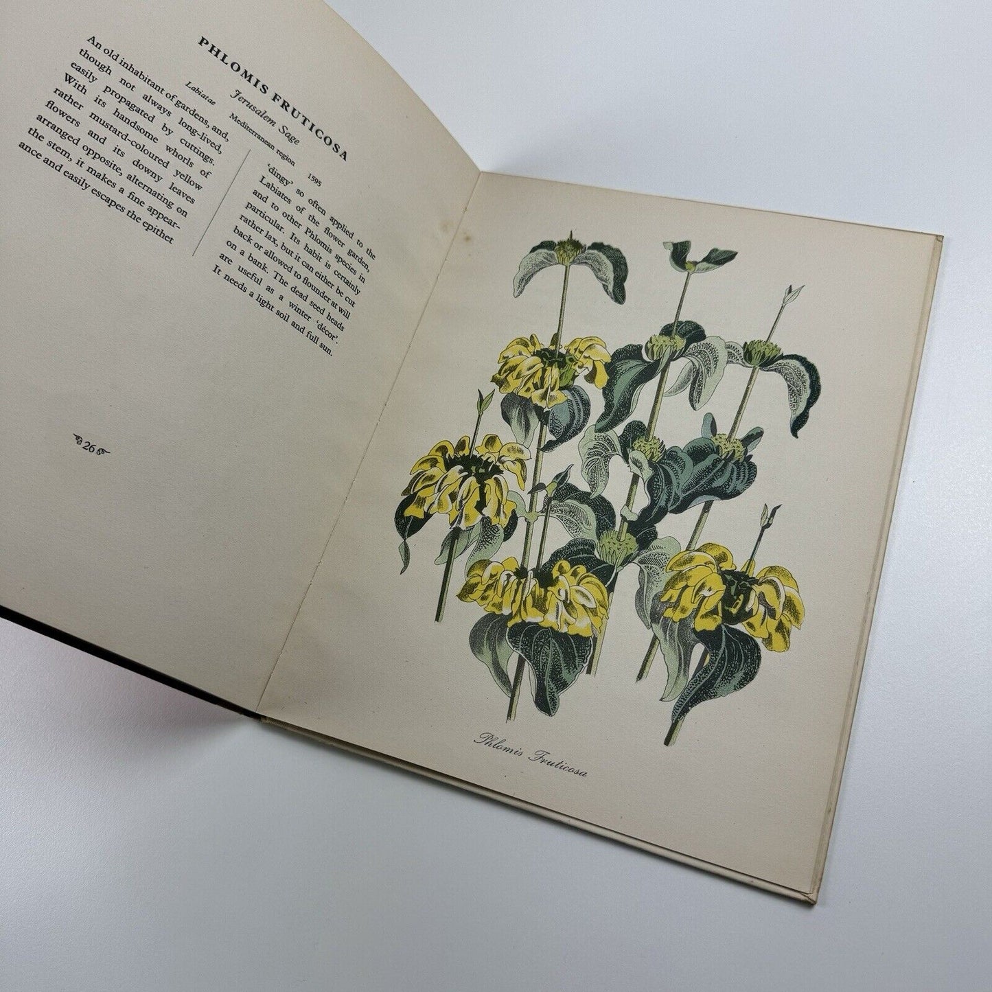 English Garden Flowers by John Nash | Duckworth, London, 1948