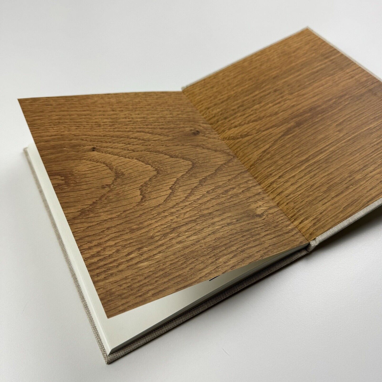 Richard Forster / Michael Gracewell | Ingleby Gallery catalogue, 2008 | Signed