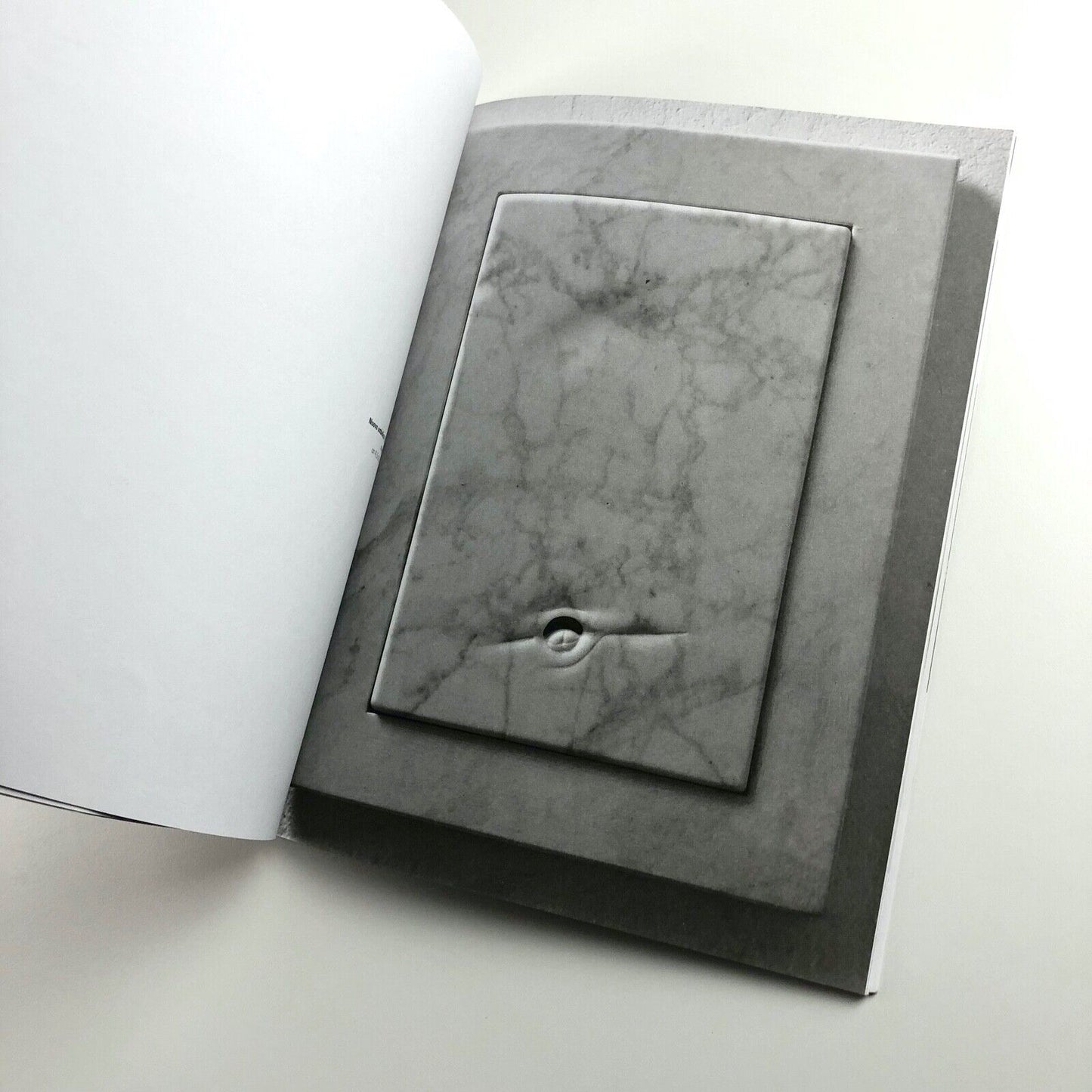 Domenico Borrelli exhibition catalogue | Studio Recalcati, Torino, 1998