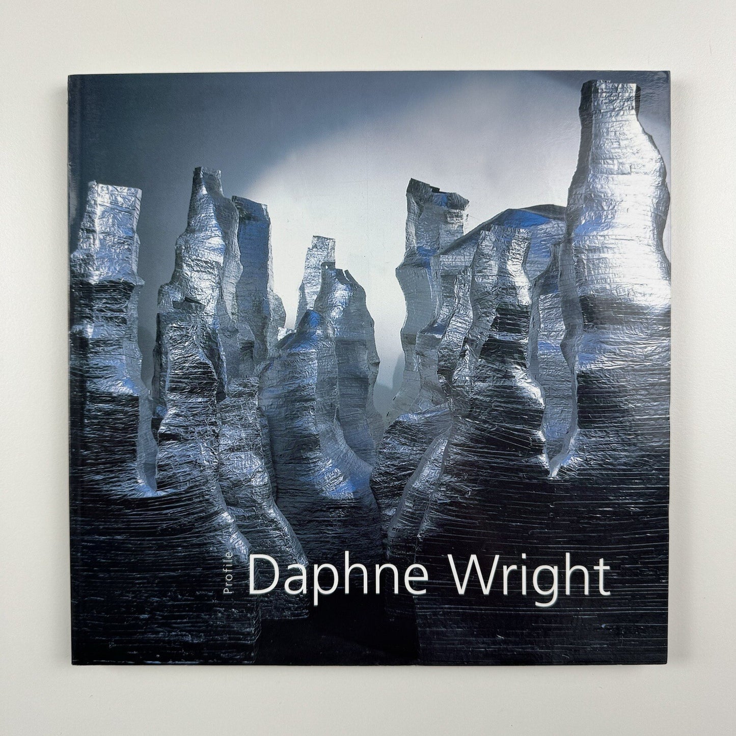 Profile 23. Daphne Wright | Limerick City Gallery of Art | Gandon Editions, 2006