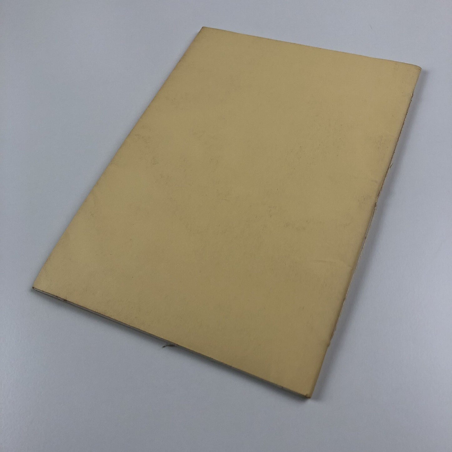 Libby Raynham. Sea-change | Susanna Rüegg galerie & poesie 2004 | Signed copy