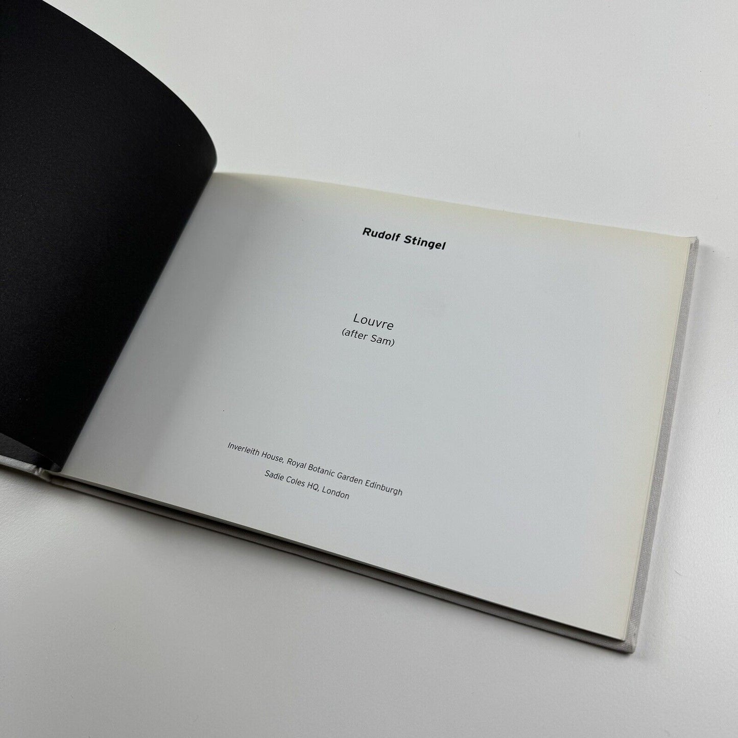 Rudolf Stingel Louvre (after Sam) | Sadie Coles held at Inverleith House, 2006